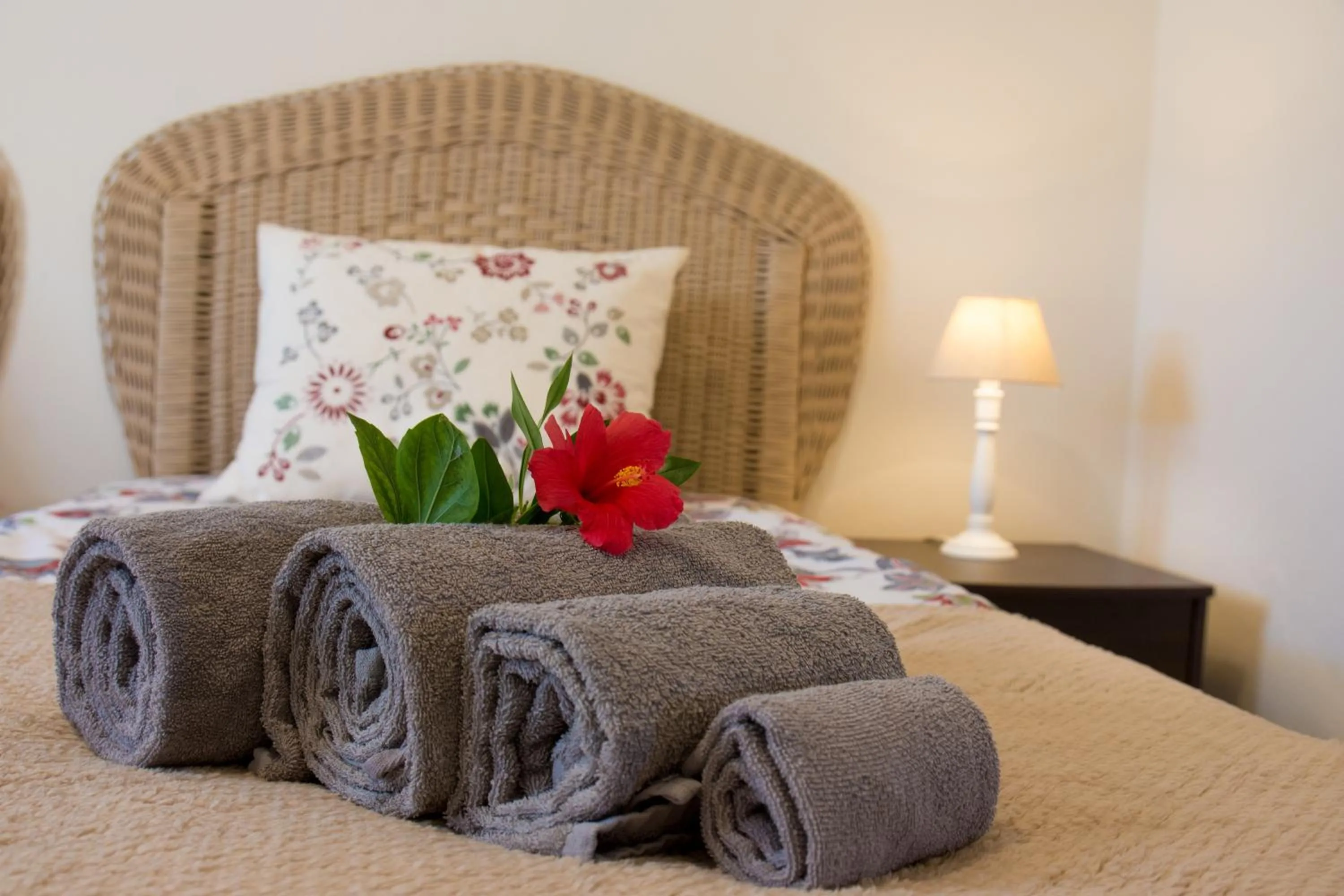 Bed in villa yvonne,private pool,private parking 1,7 km from the beach