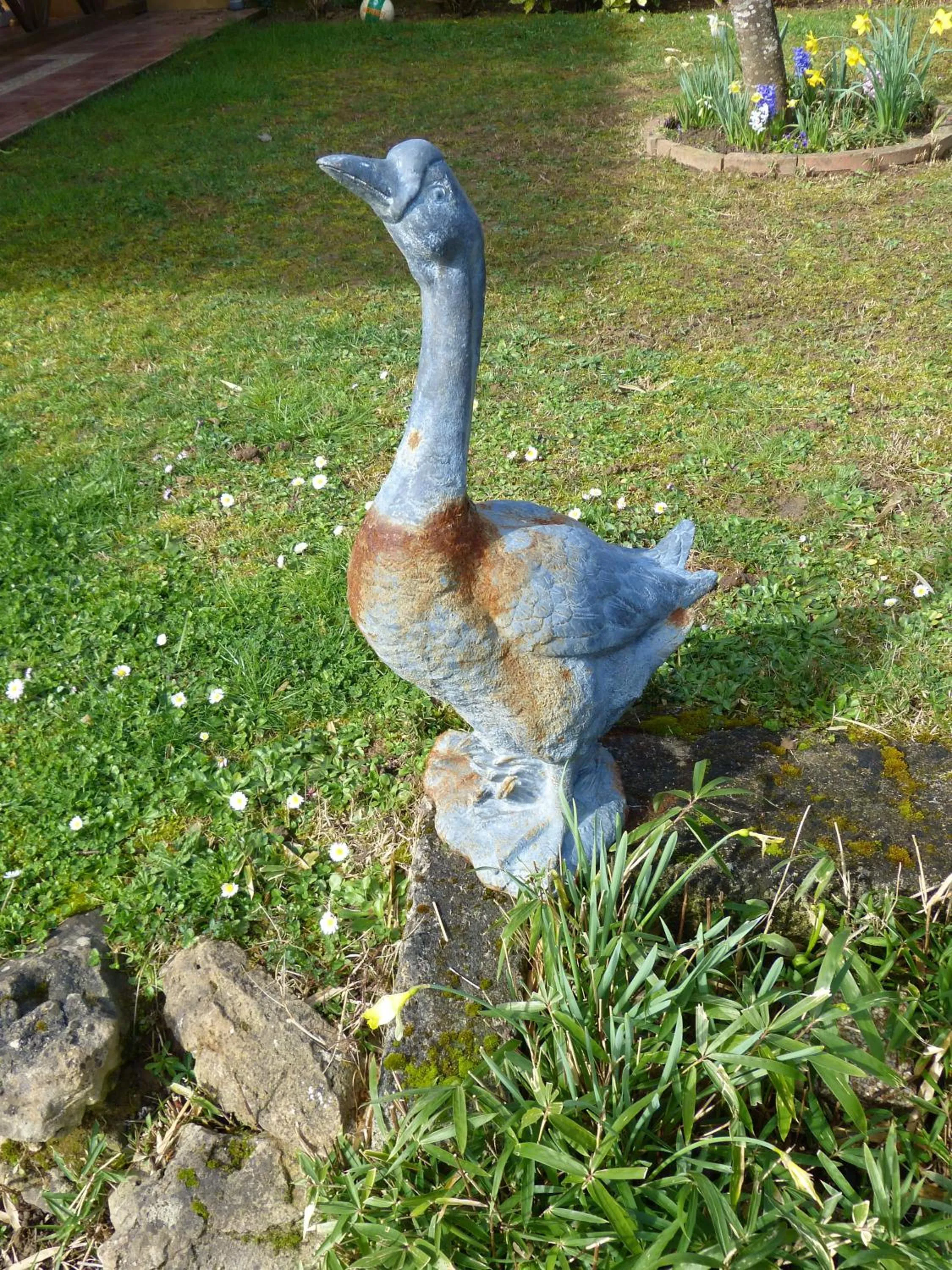 Animals in Hôtel Restaurant du Commerce