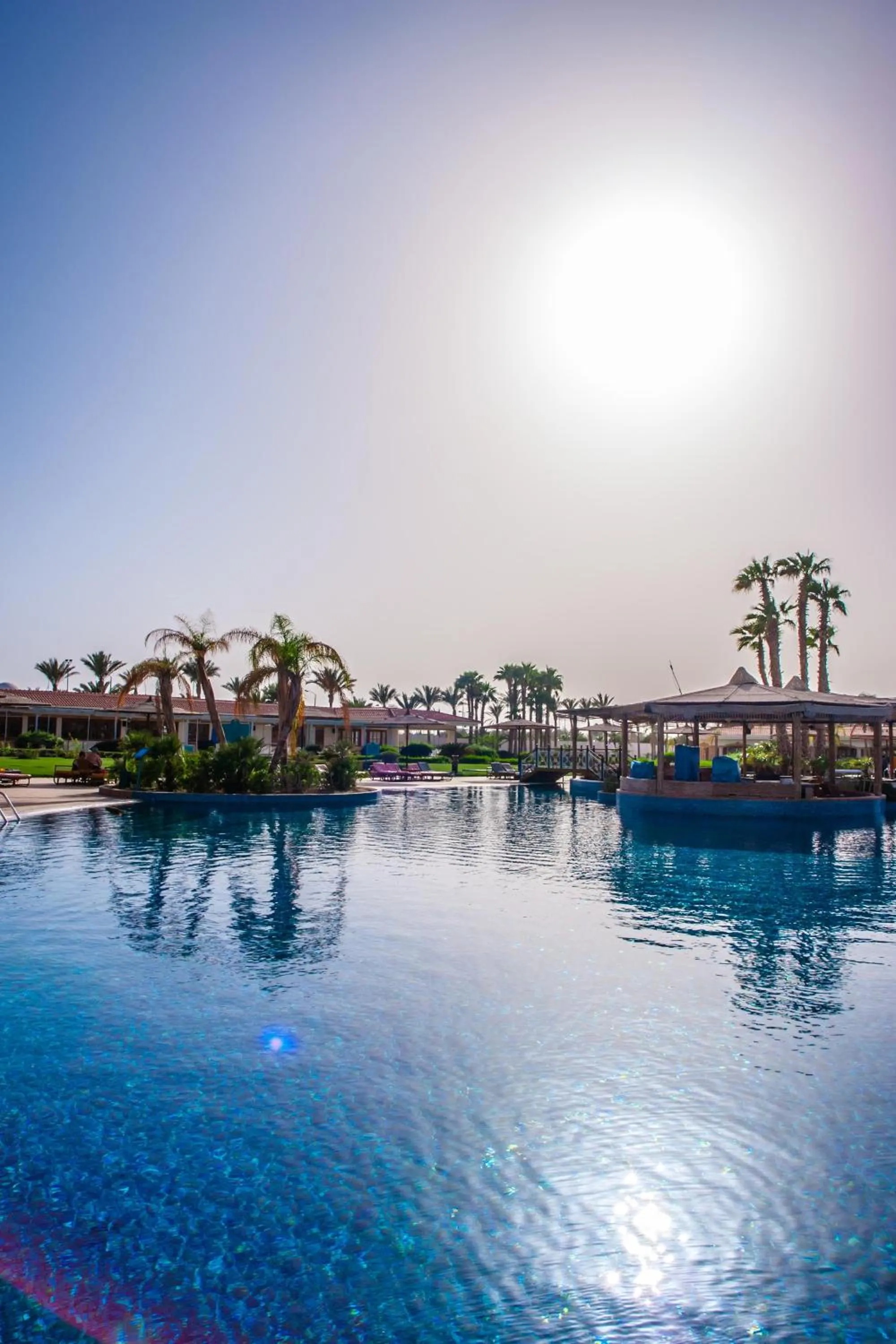 Swimming pool in Pickalbatros Golf Beach Resort - All Inclusive