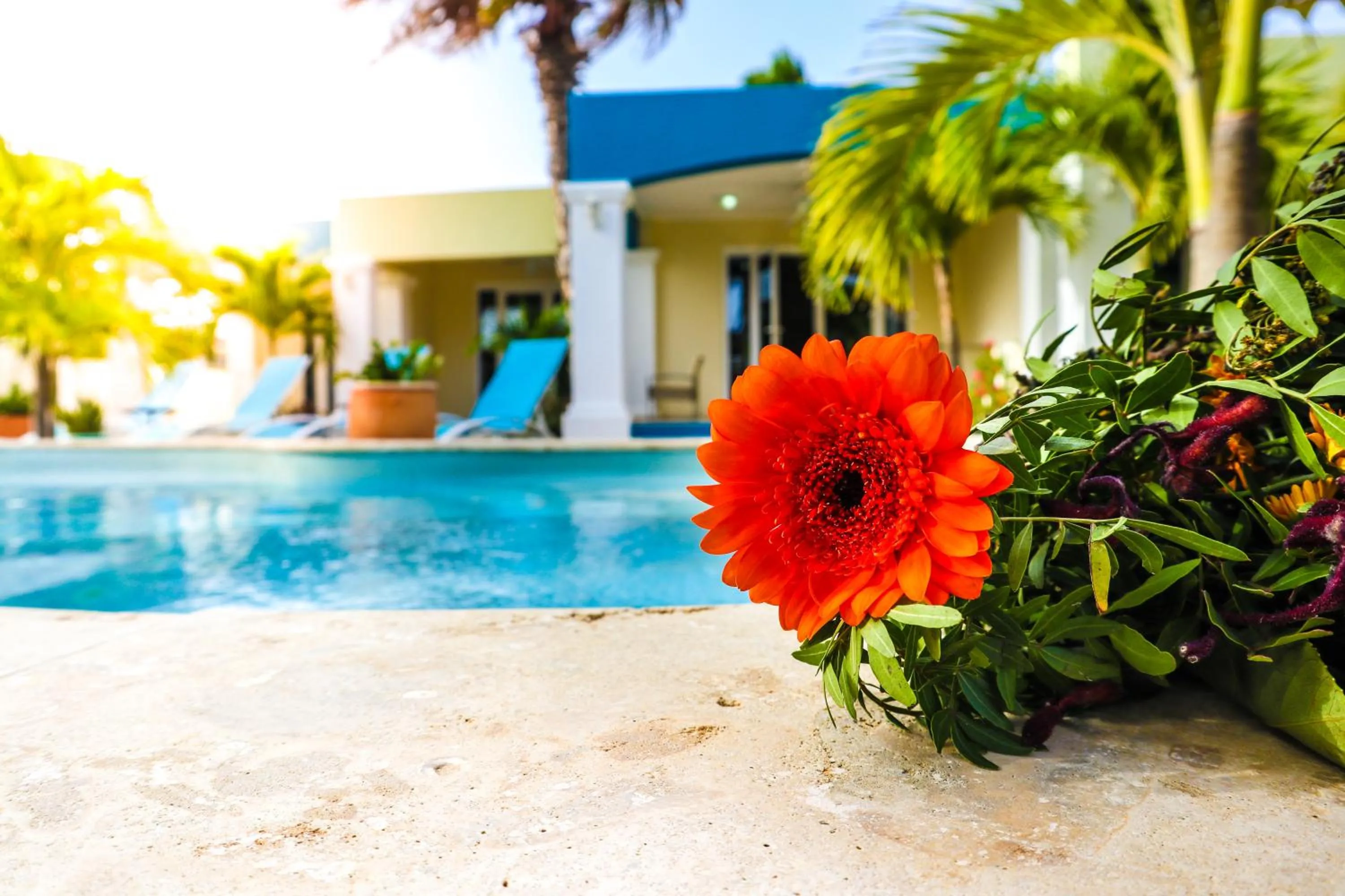 Property building in Aqua Viva Suites