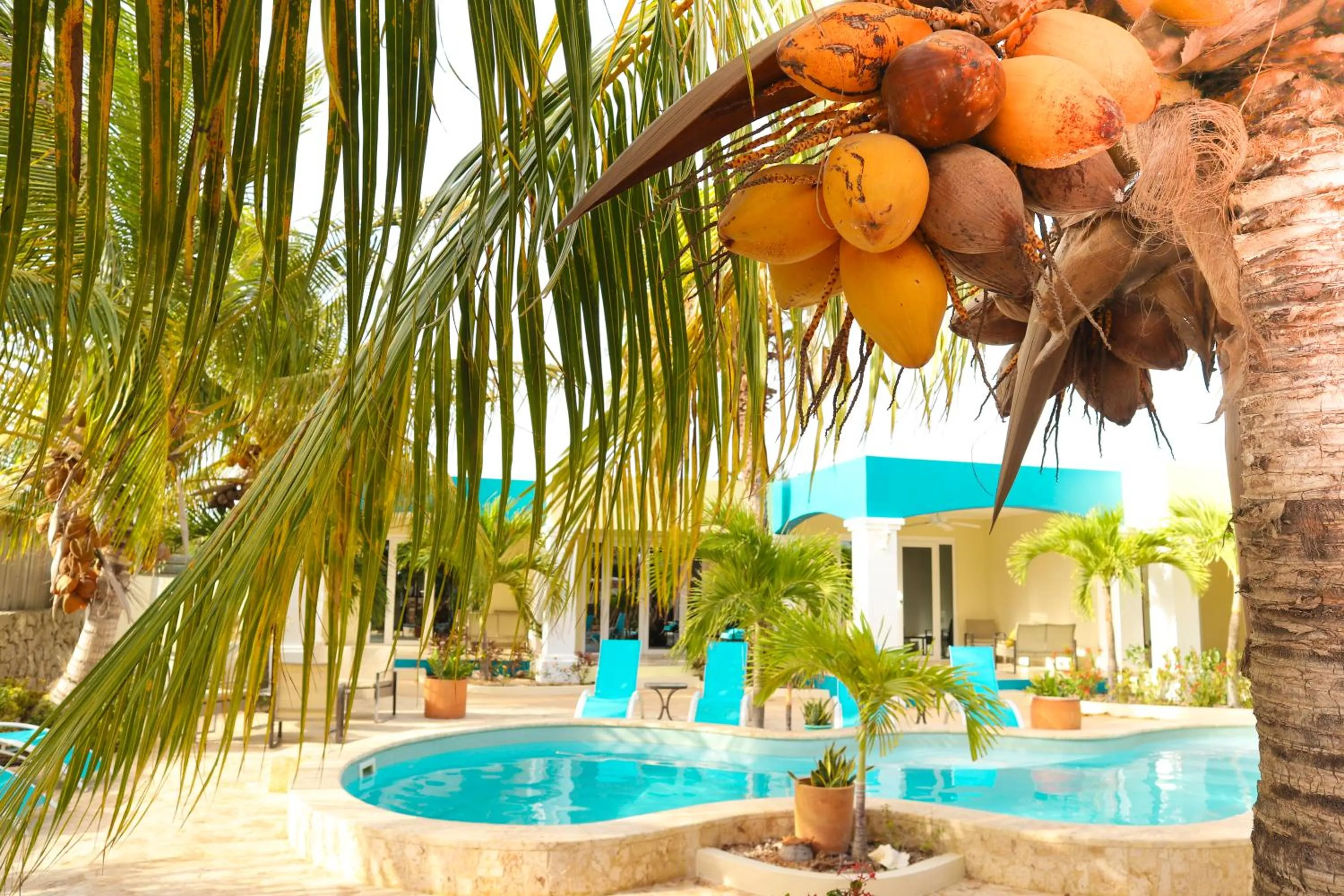 Garden view in Aqua Viva Suites