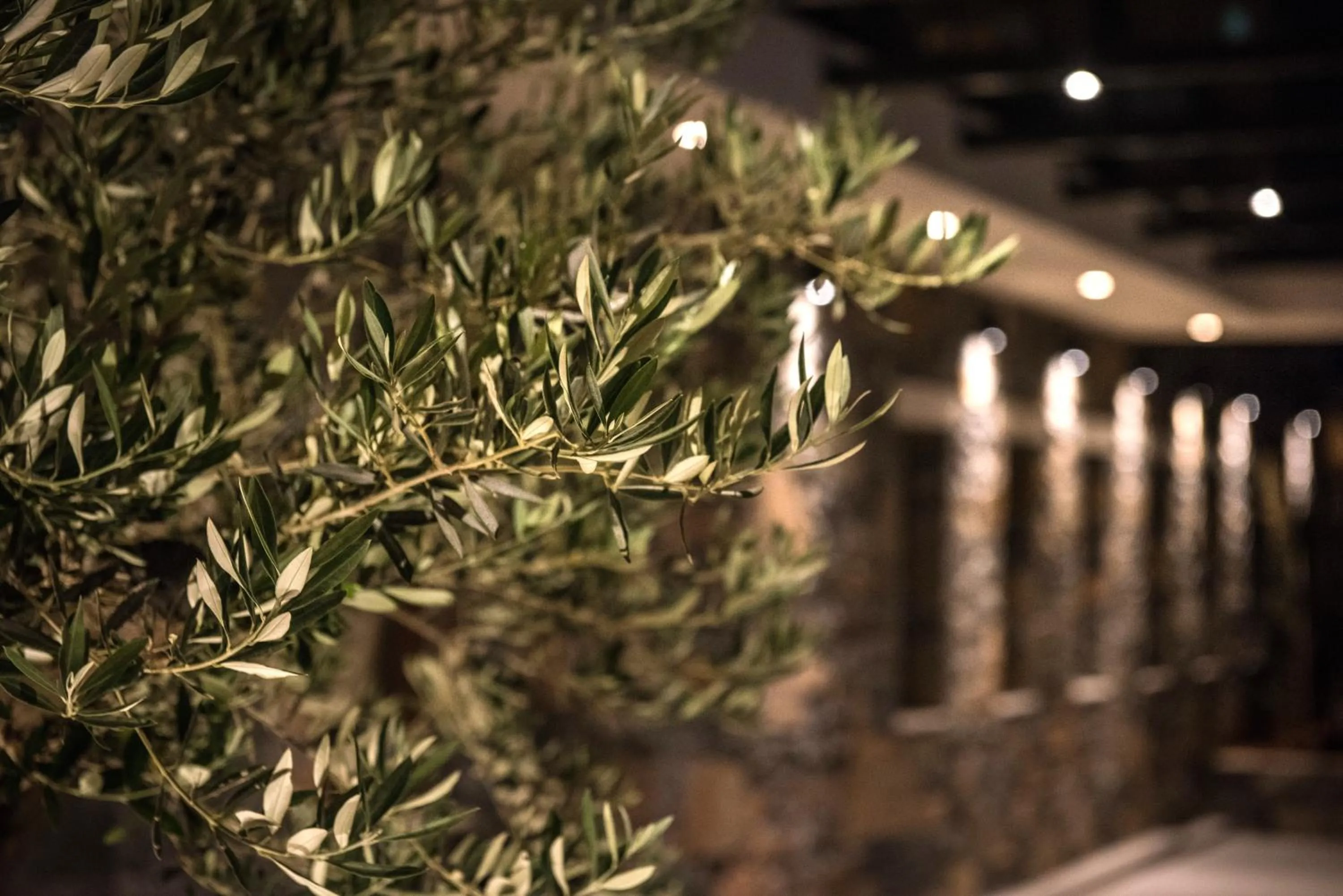 Night in Petousis Hotel & Suites