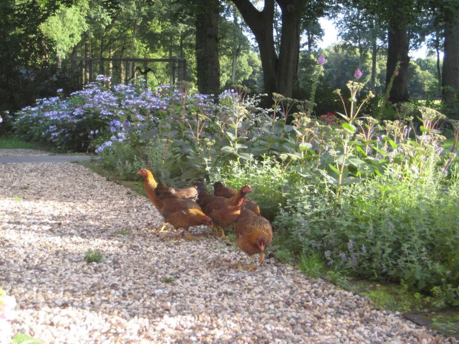 Garden in Landgoedhoeve Vosbergen