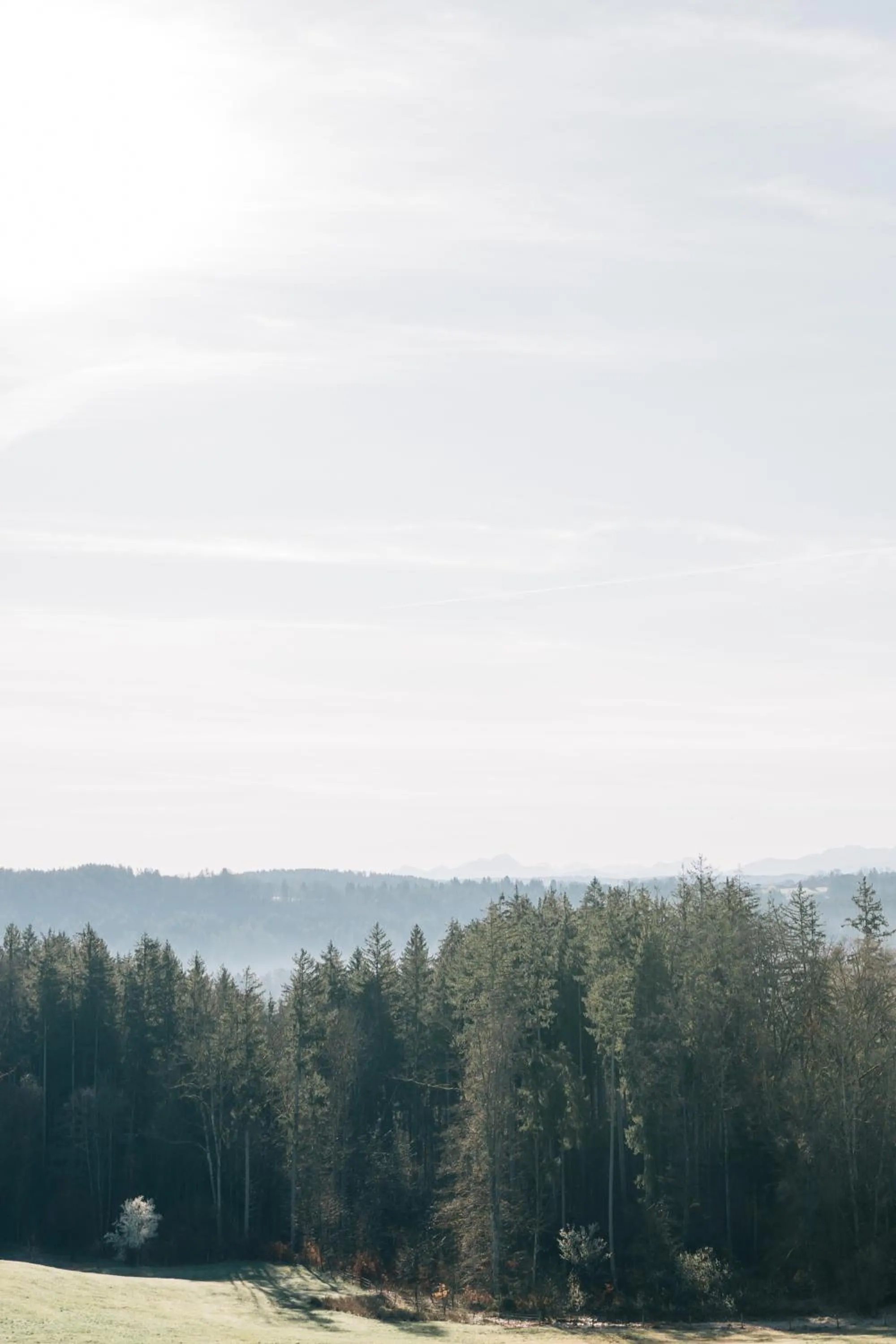 Natural landscape in Klostermaier Hotel & Restaurant