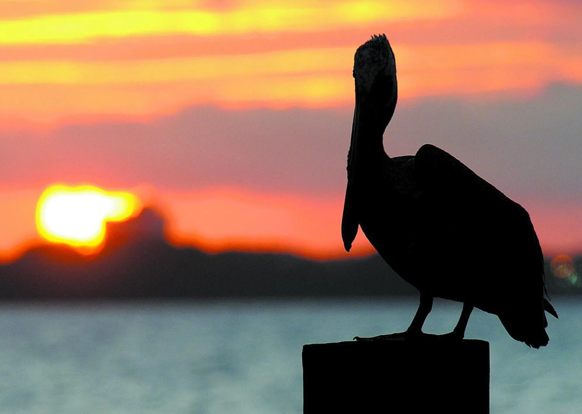 Sunrise 2103