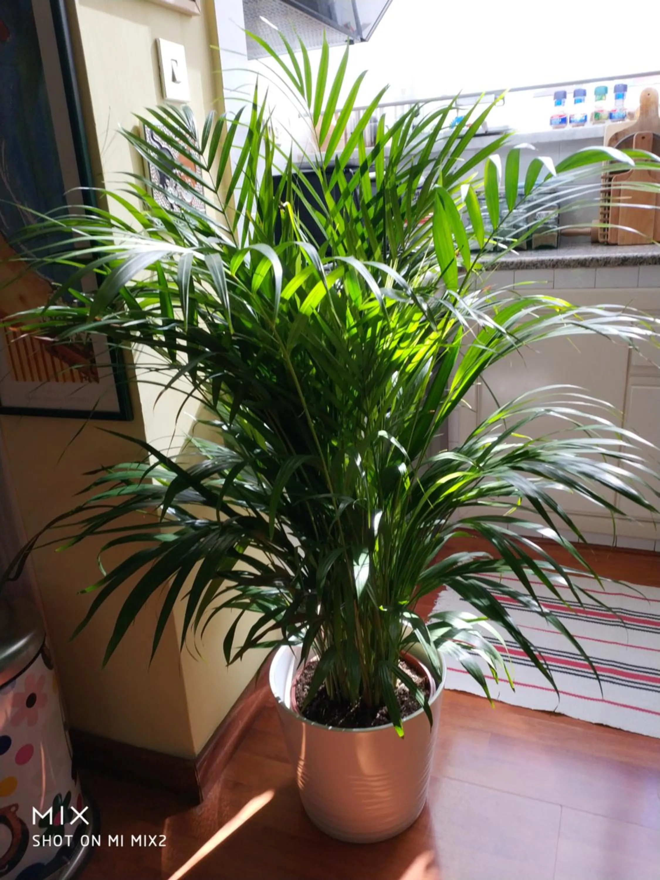 Restaurant/places to eat in B&B Baggere