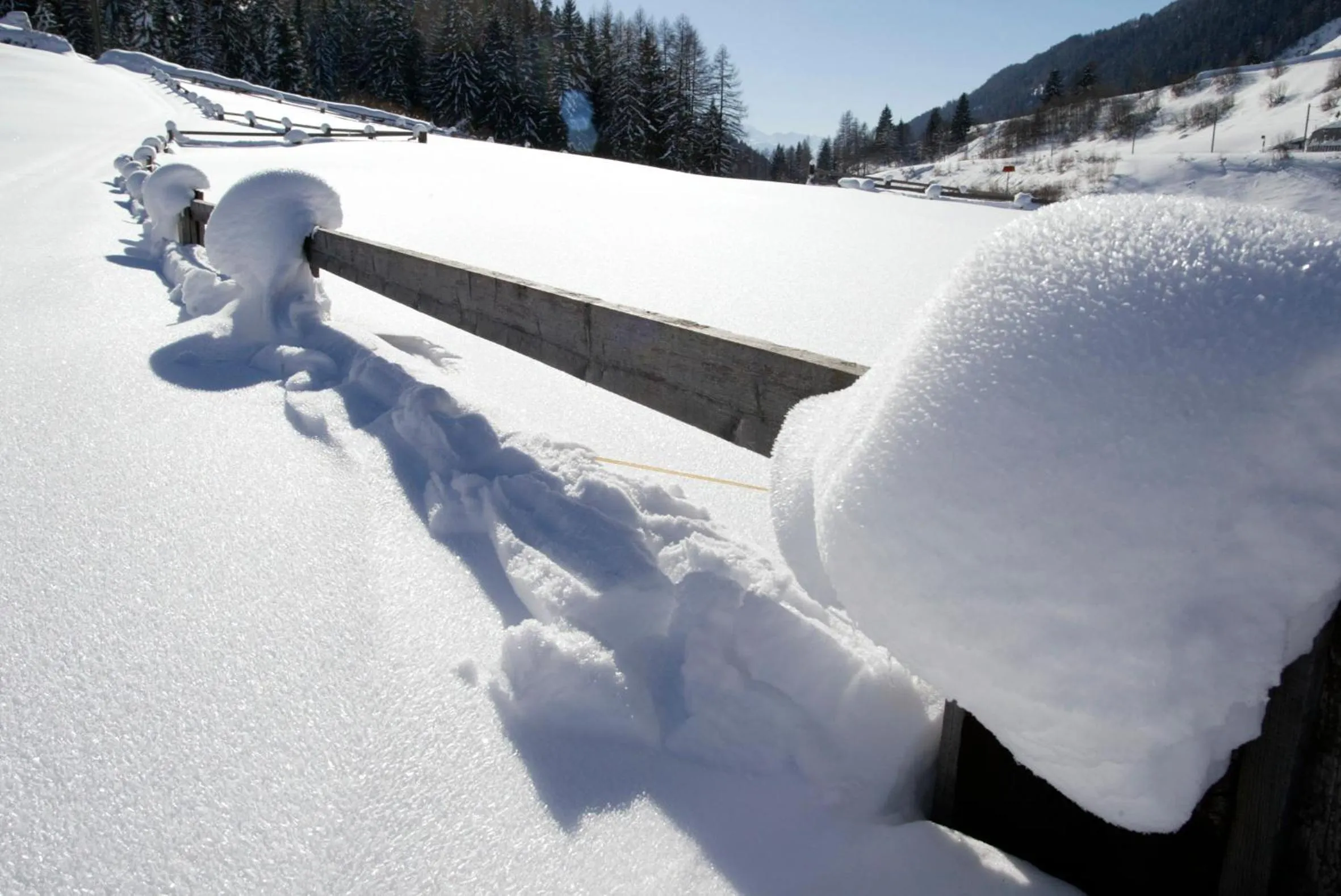 Natural landscape in Hotel Nufenen