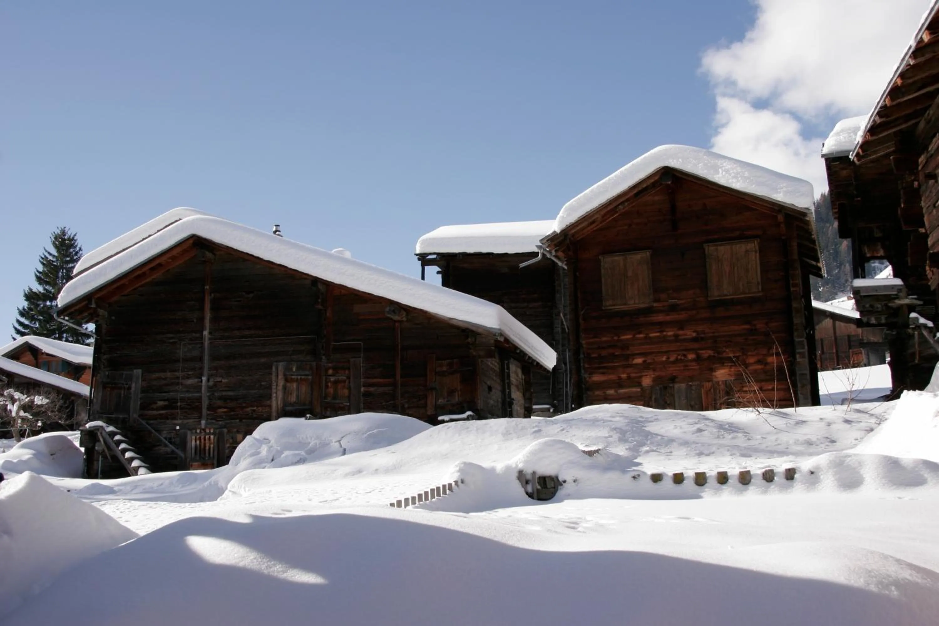 Natural landscape in Hotel Nufenen