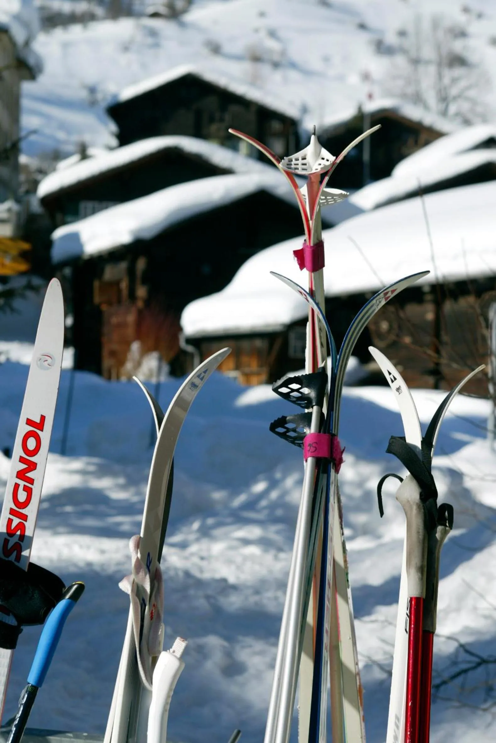 Natural landscape in Hotel Nufenen