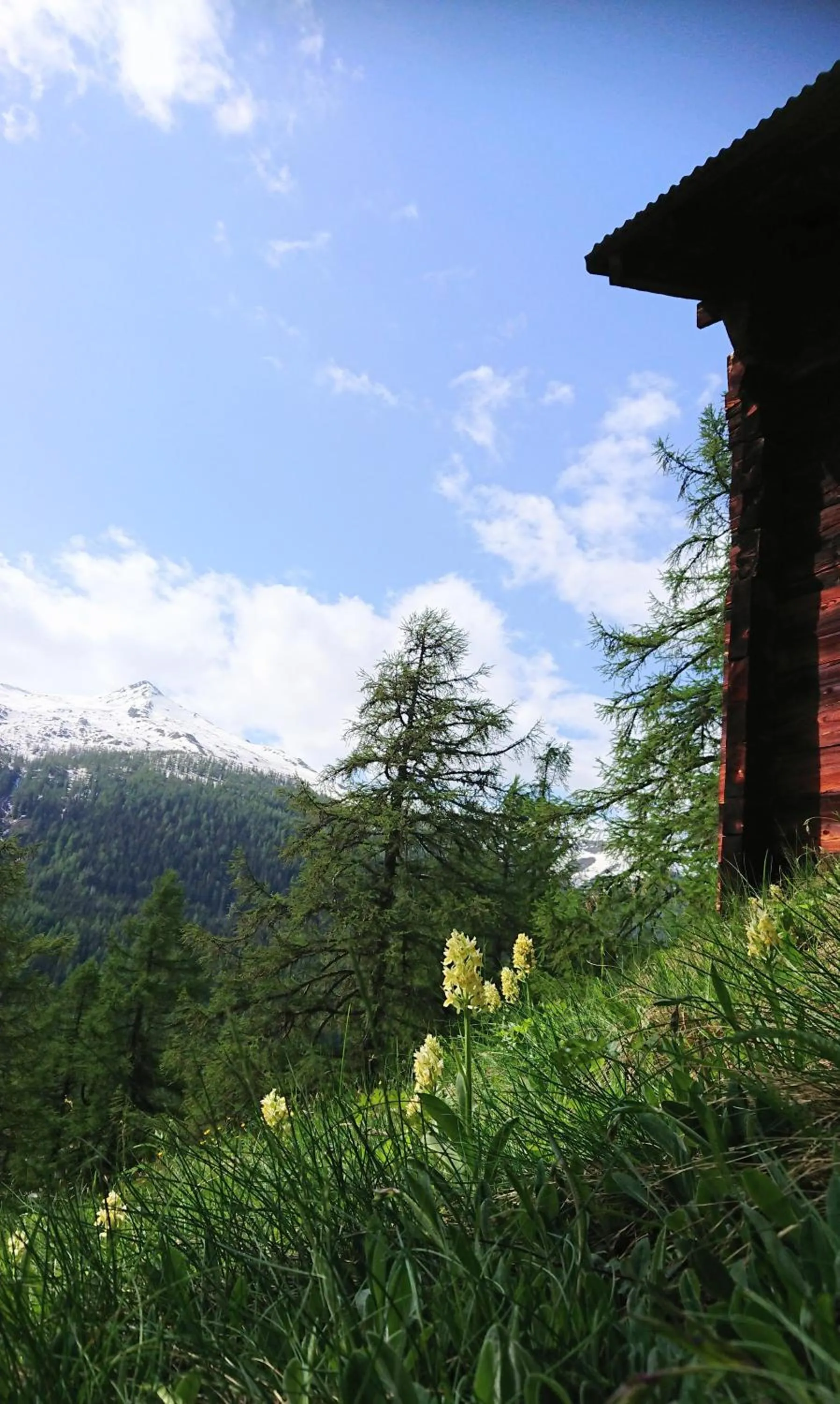 Natural landscape in Hotel Nufenen