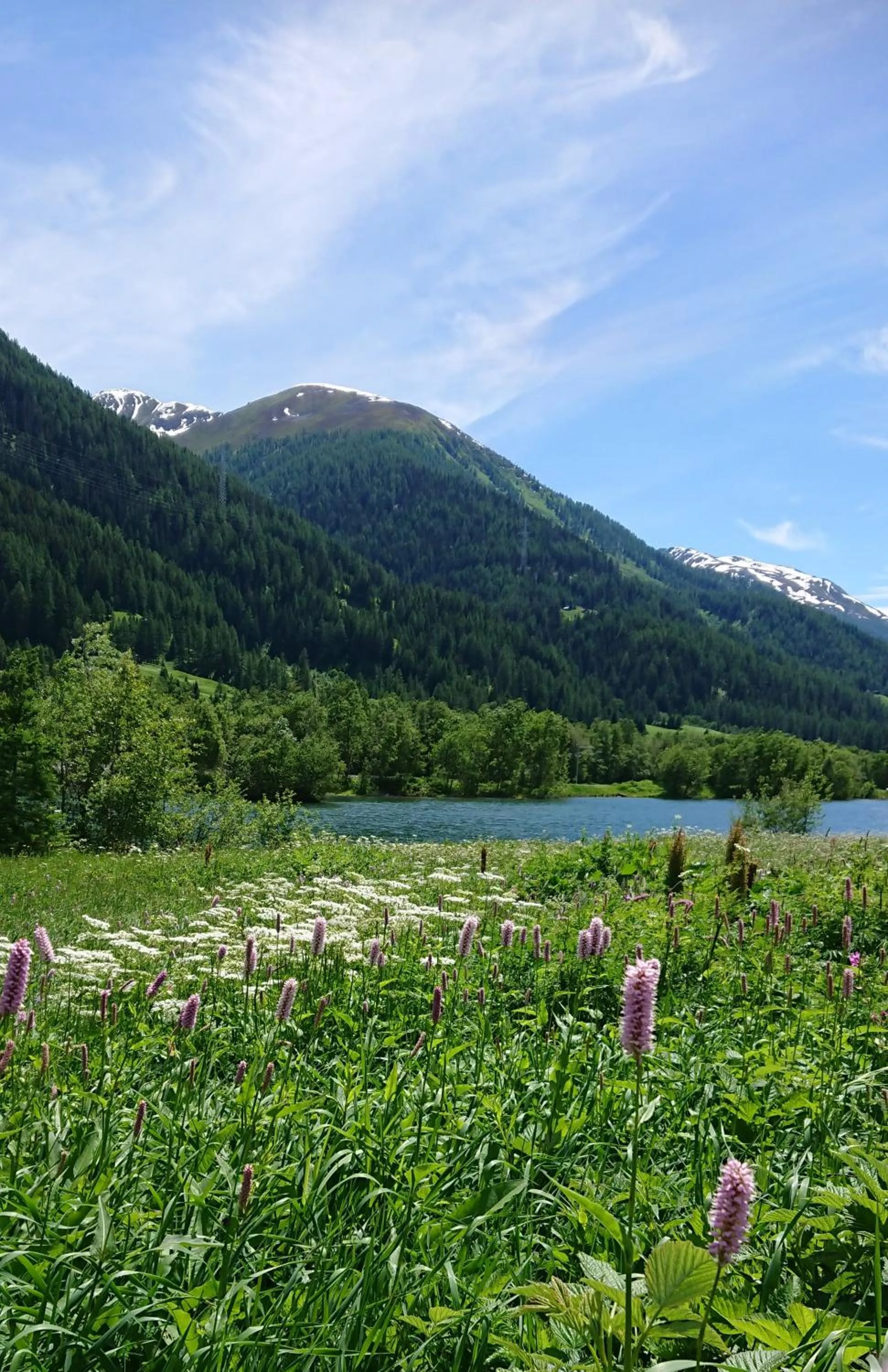Natural landscape in Hotel Nufenen