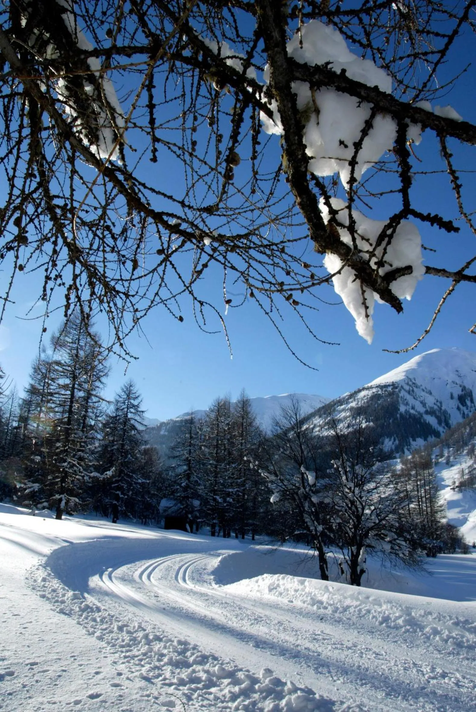 Activities in Hotel Nufenen