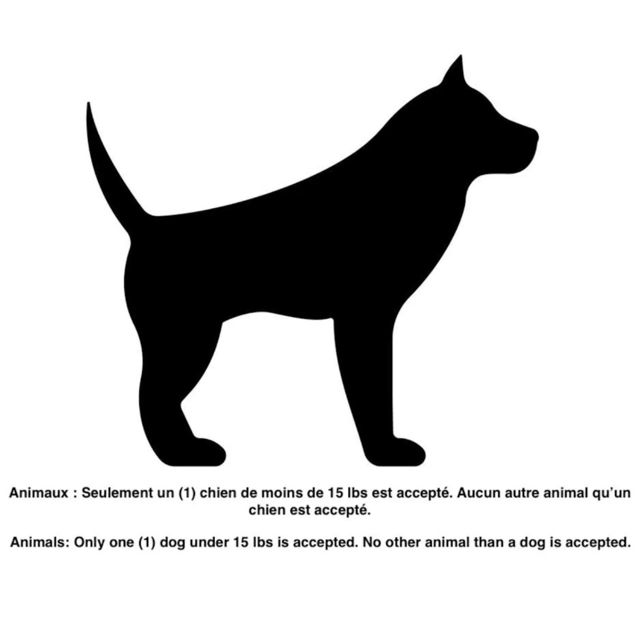 Pets in INITIAL - CAVALIER - Chutes-Montmorency