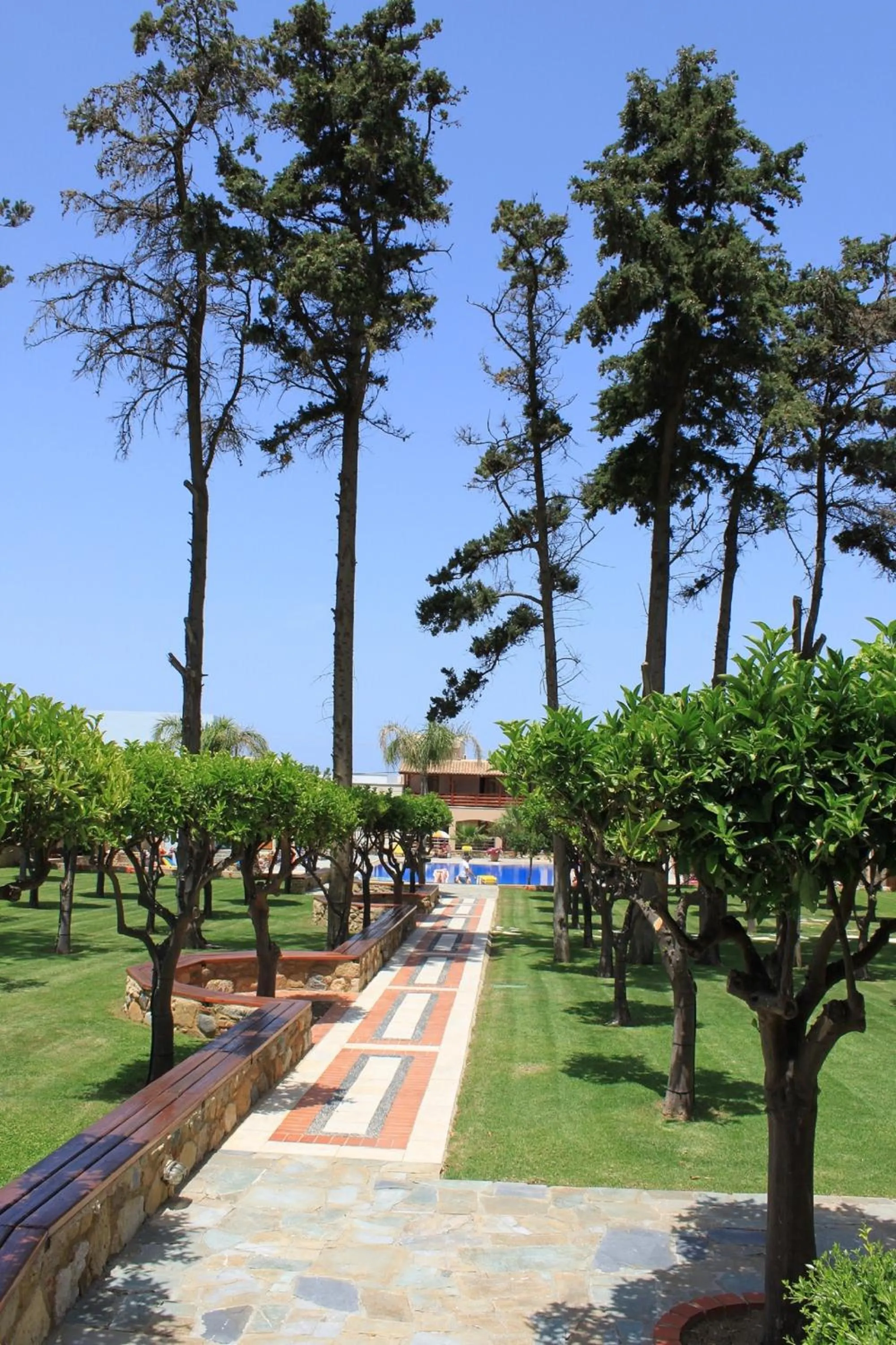 Day in Omega Platanias