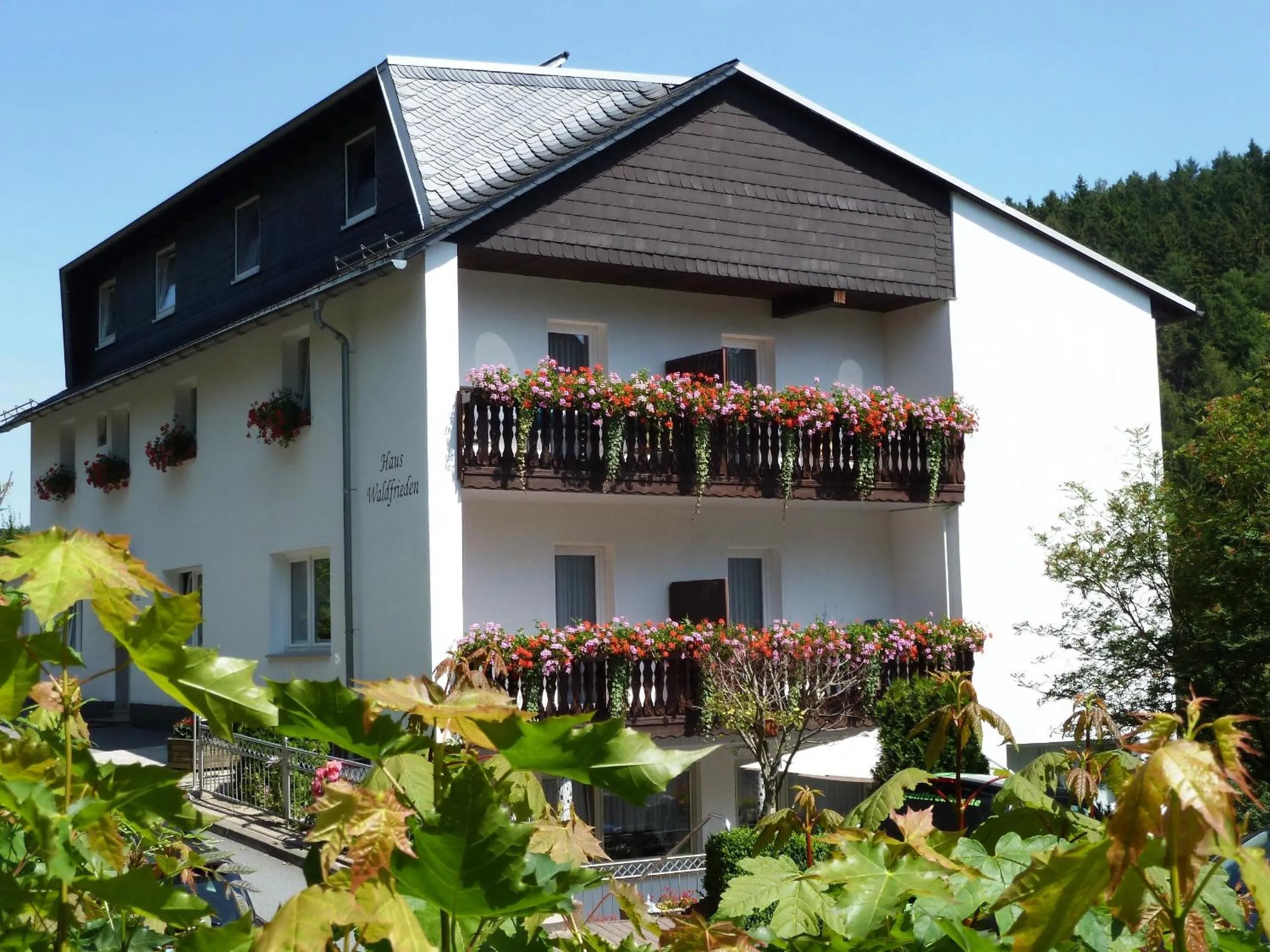 Pension Haus Waldfrieden, MeineCardPlus inklusive
