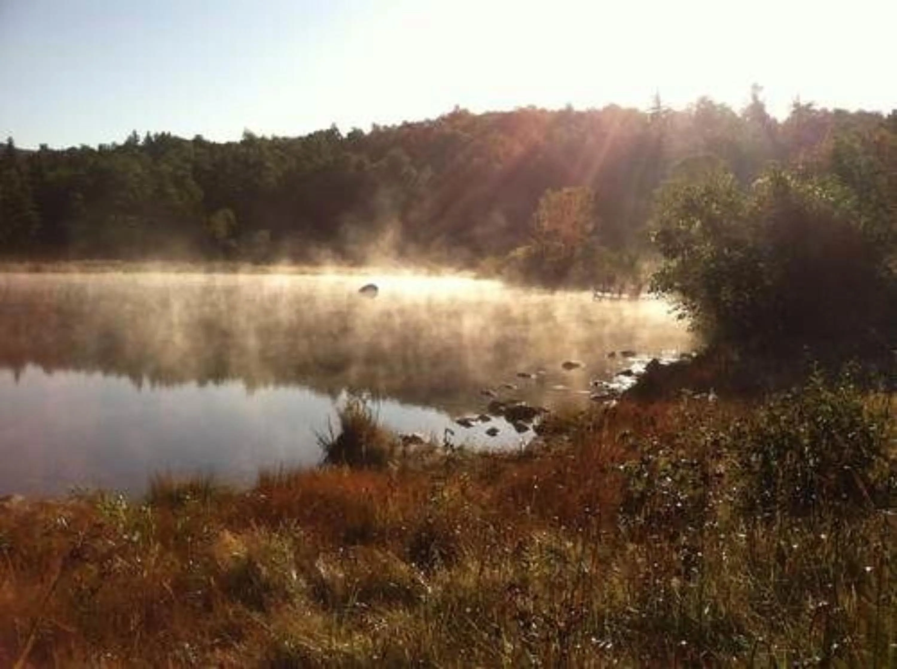 Activities in Bark Eater Inn