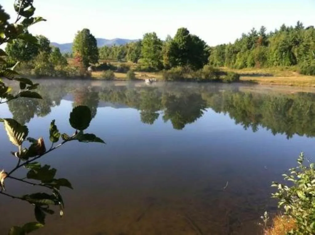 Activities in Bark Eater Inn