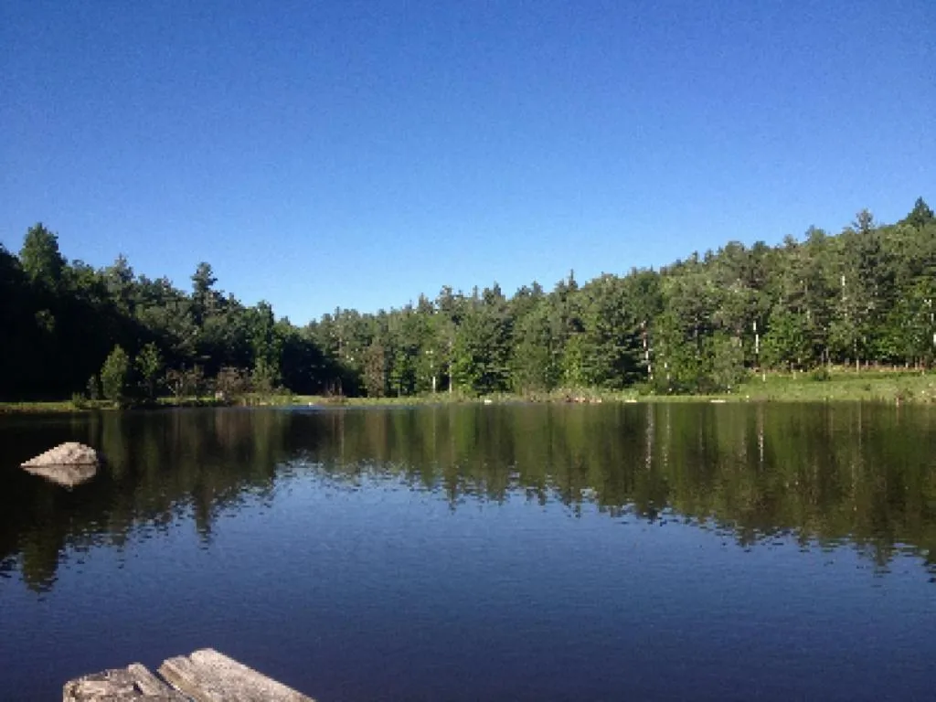 Activities in Bark Eater Inn