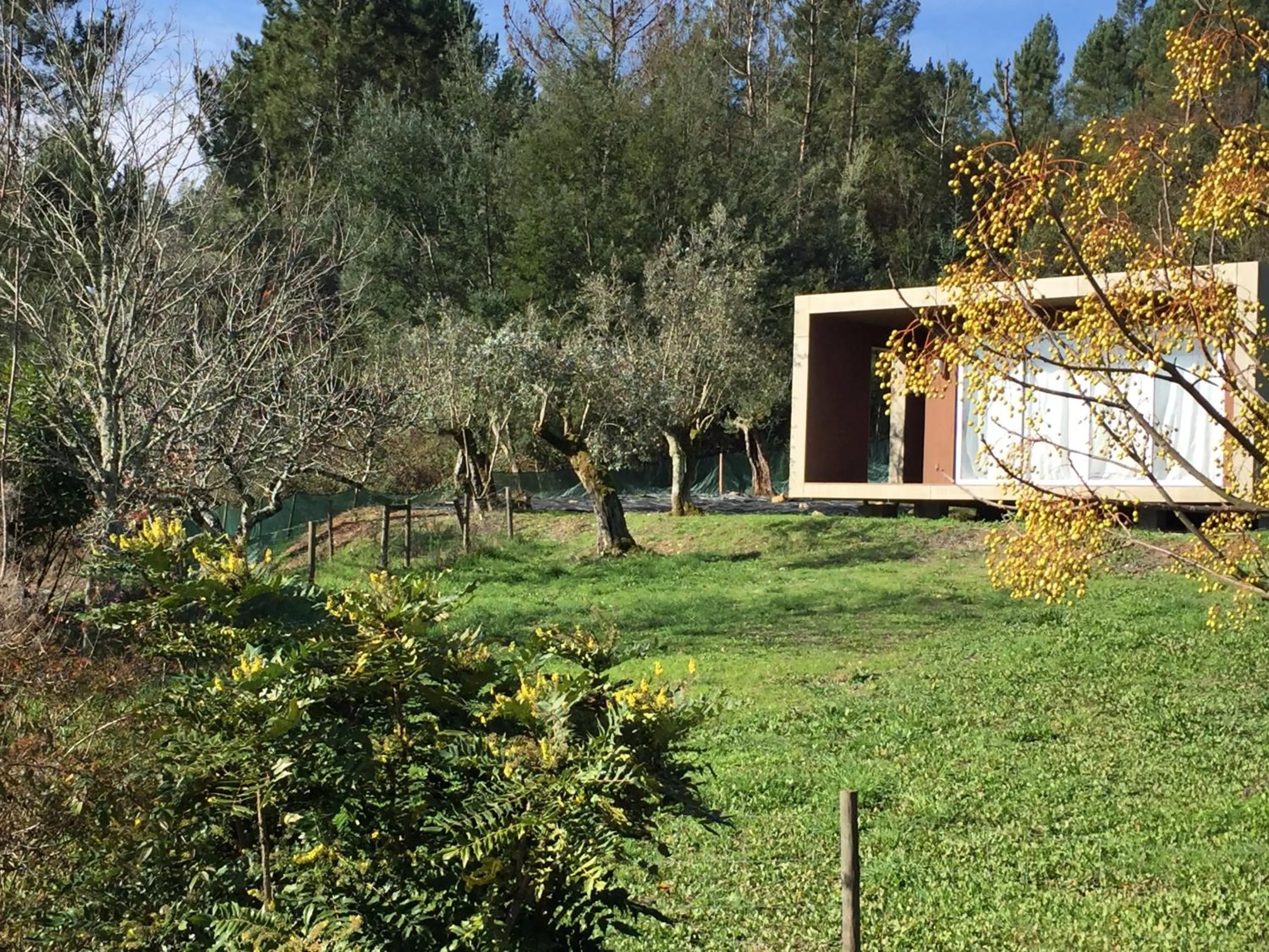 Adore Portugal Bungalow Natureza & Vista de Serra