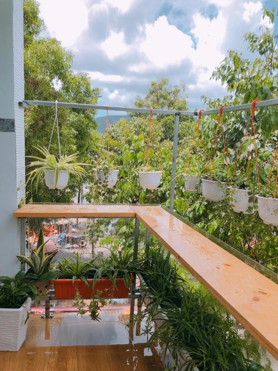 Natural landscape in Little Home Homestay