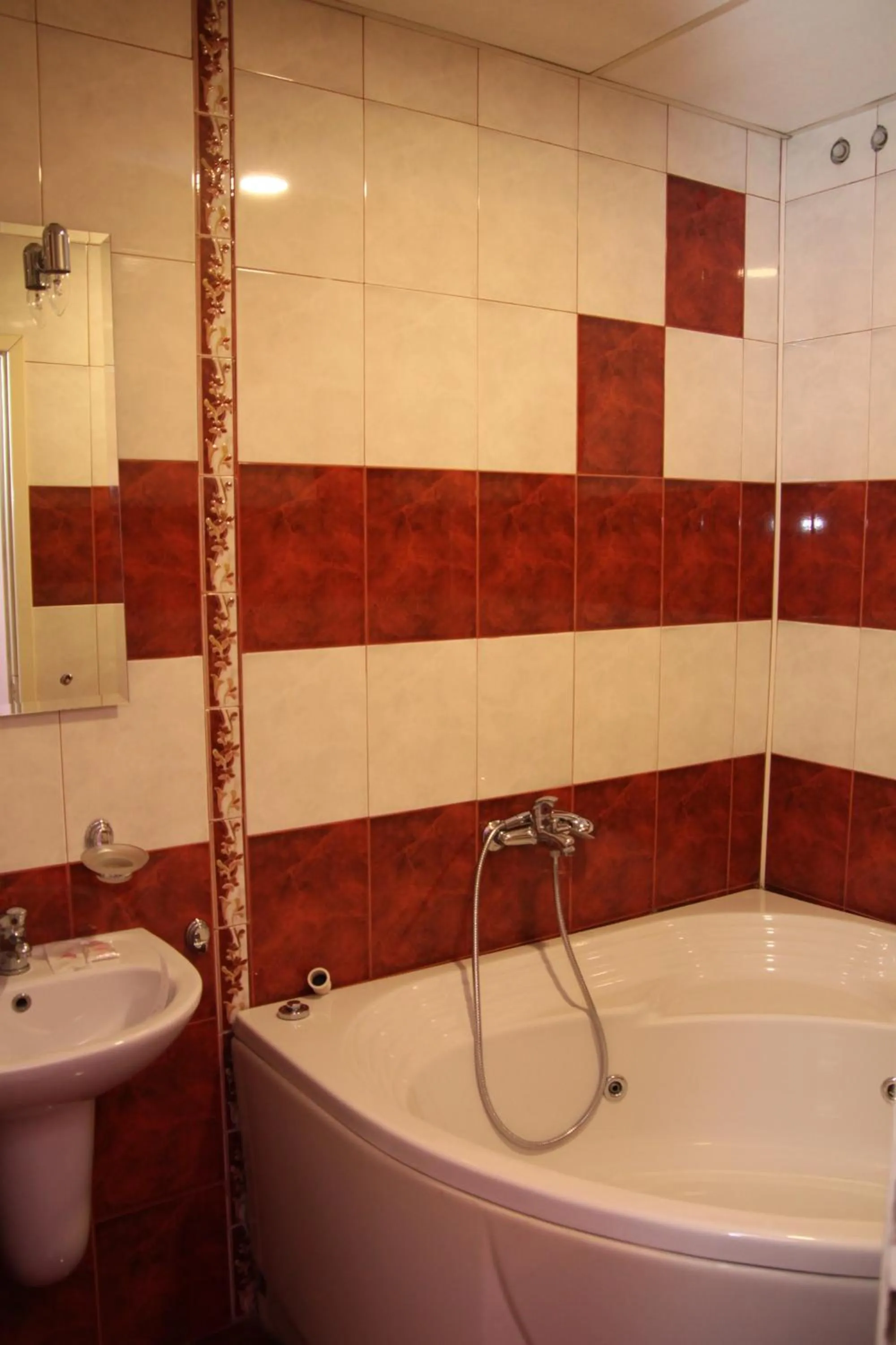 Shower in Hotel Color