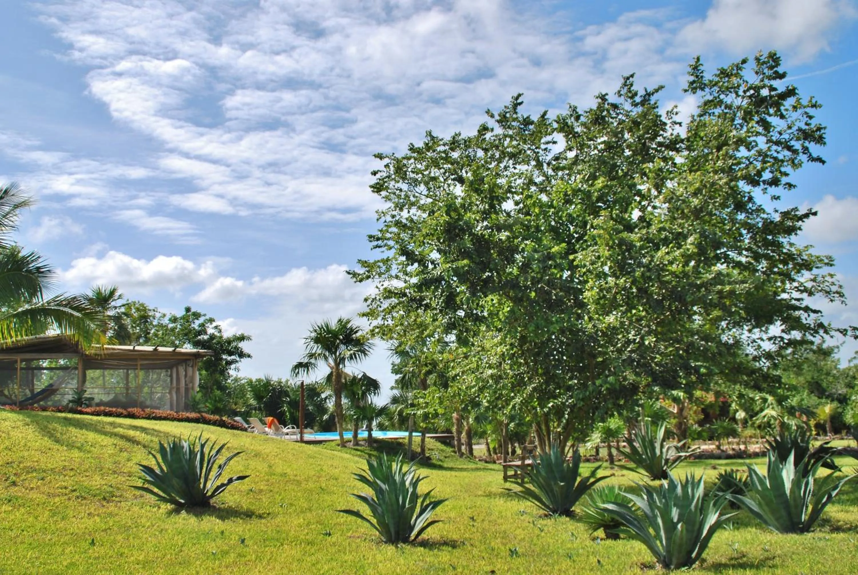 Garden in Hotel El Chital