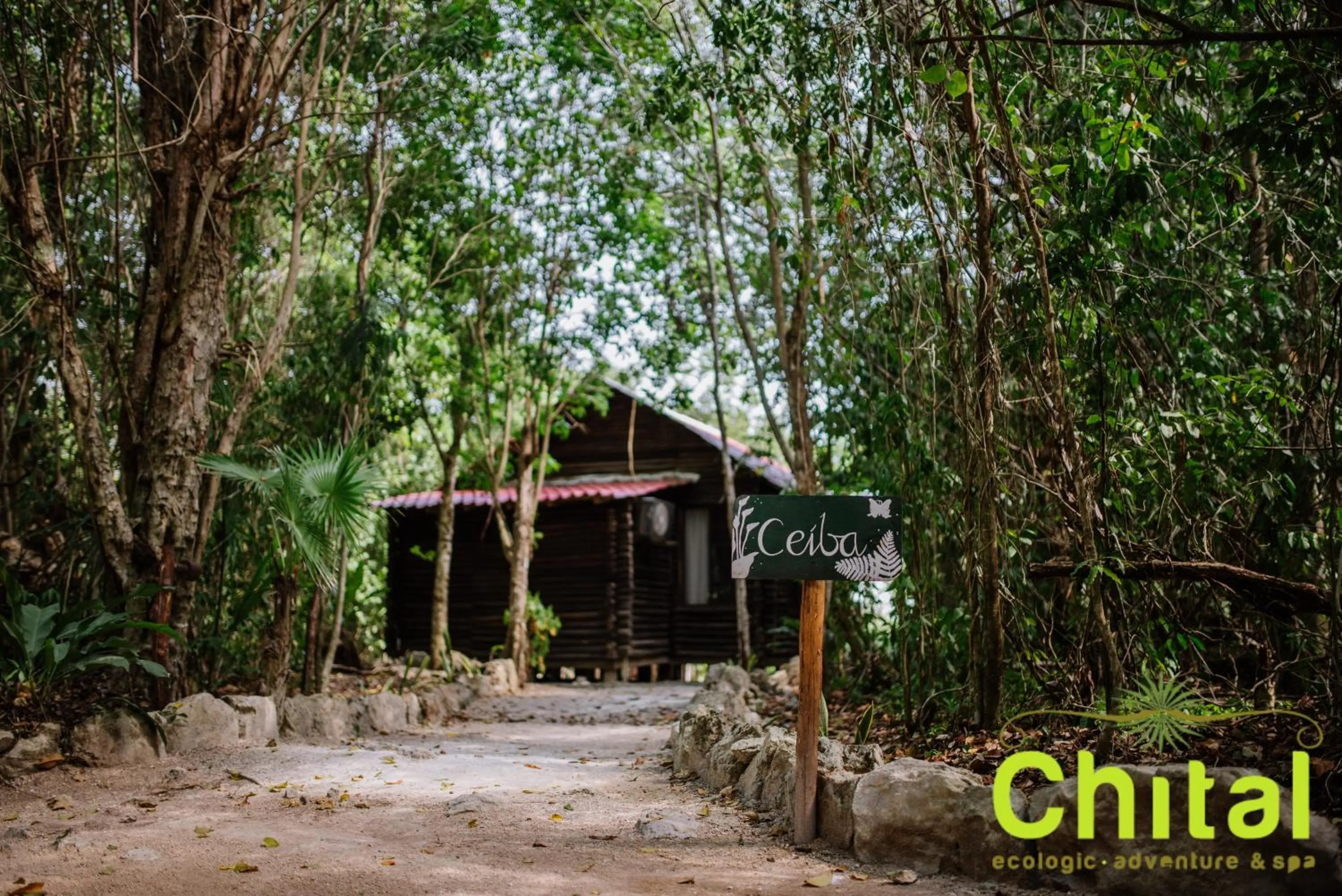 Natural landscape in Hotel El Chital