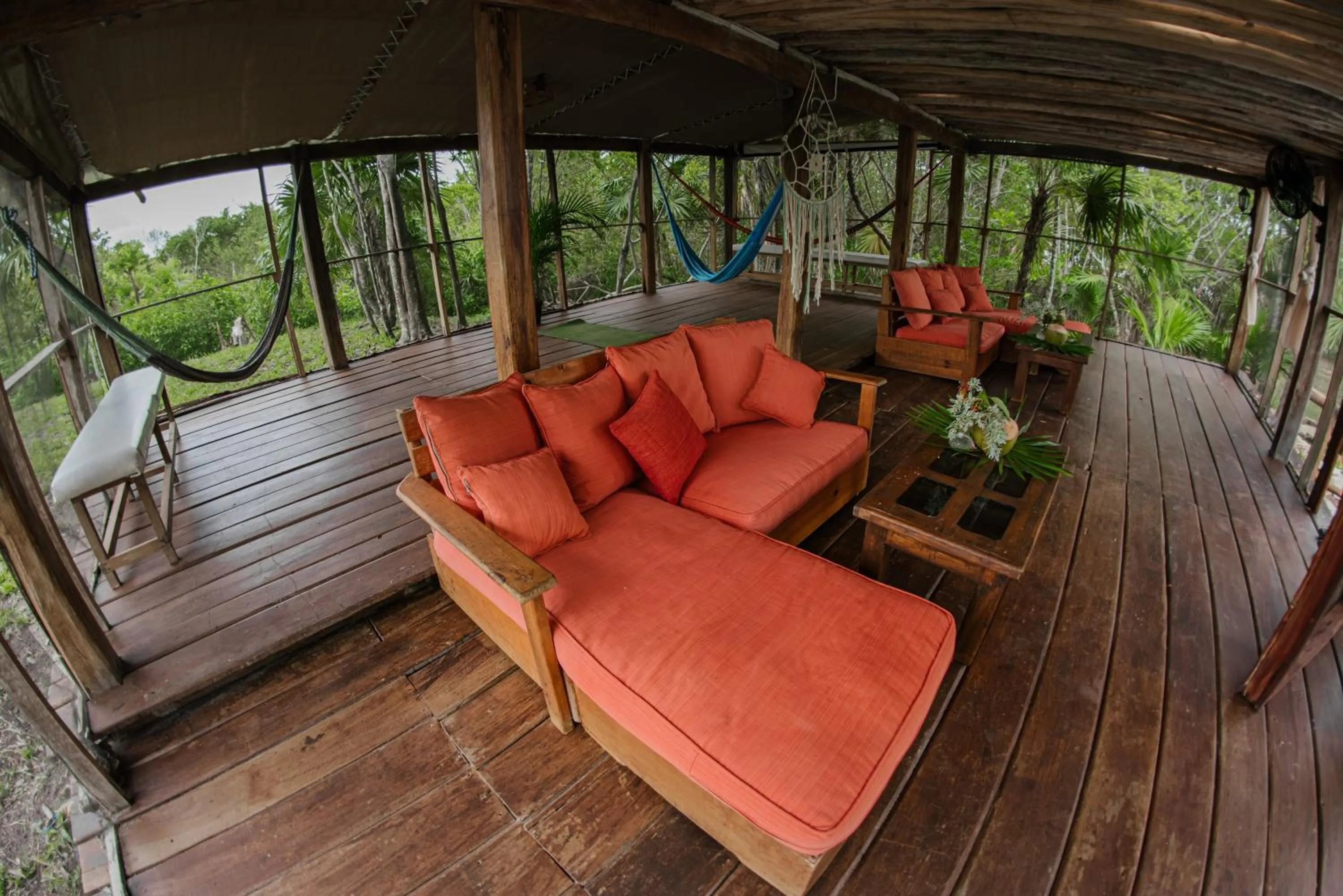 Garden in Hotel El Chital