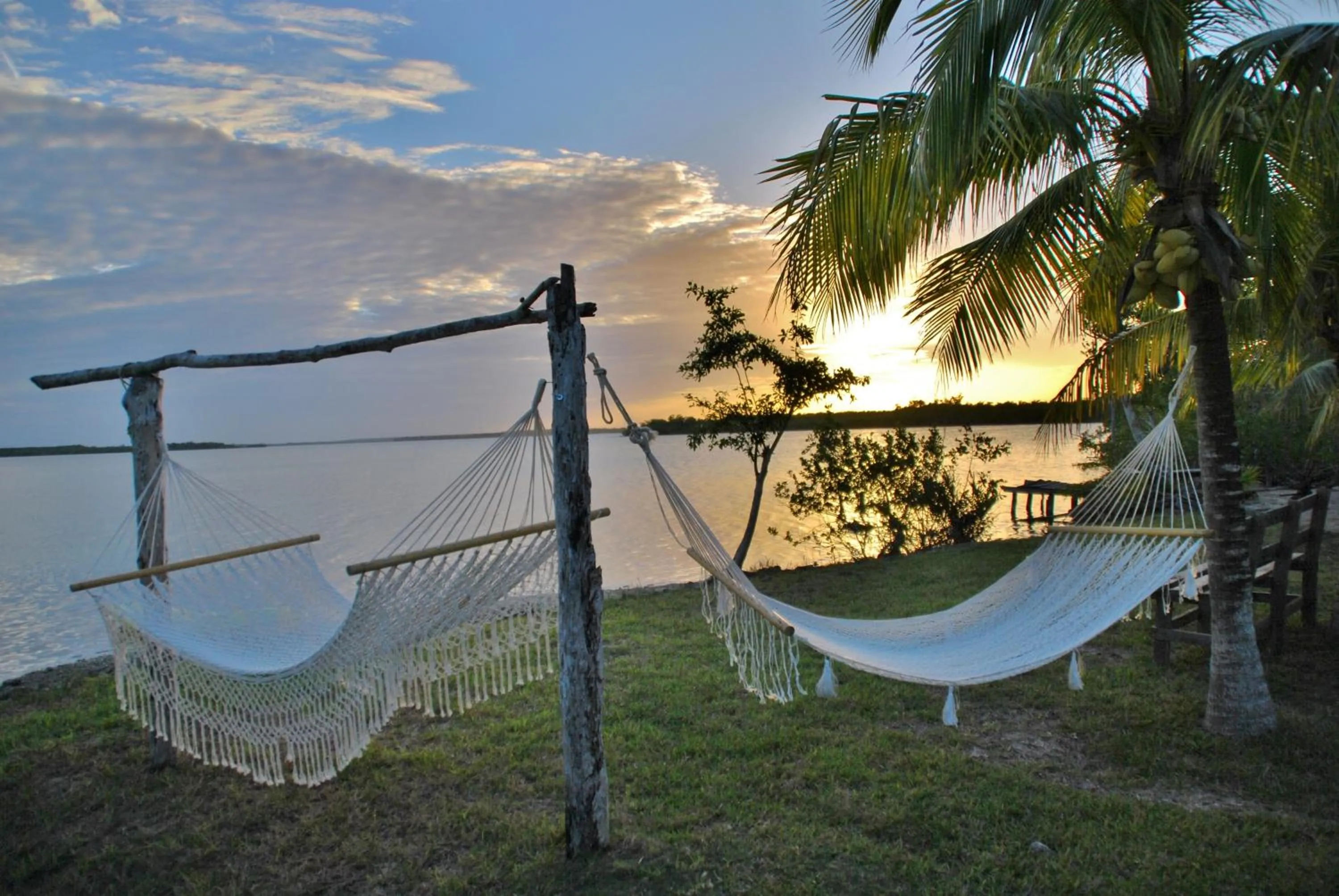View (from property/room) in Hotel El Chital