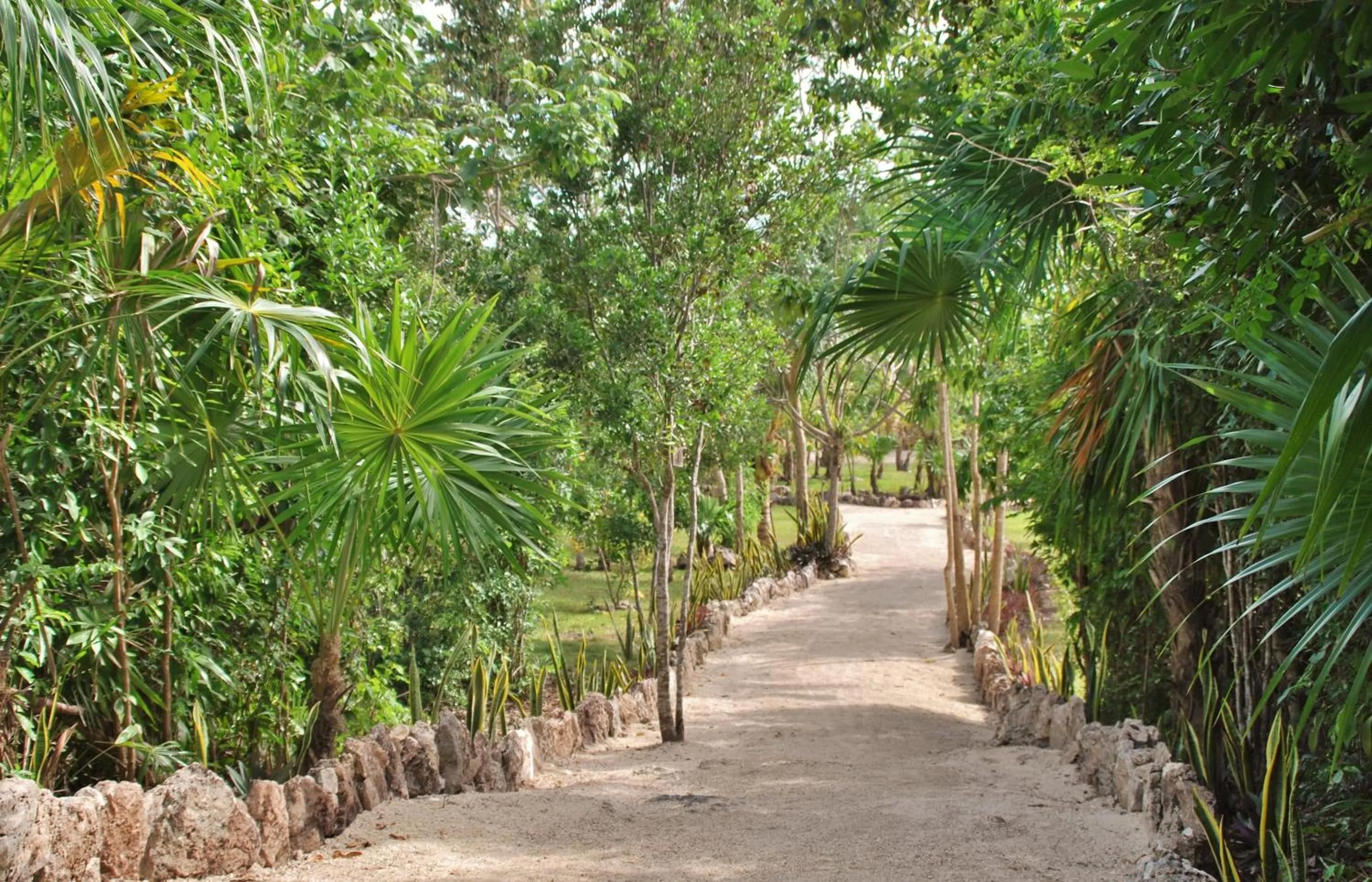 Garden in Hotel El Chital