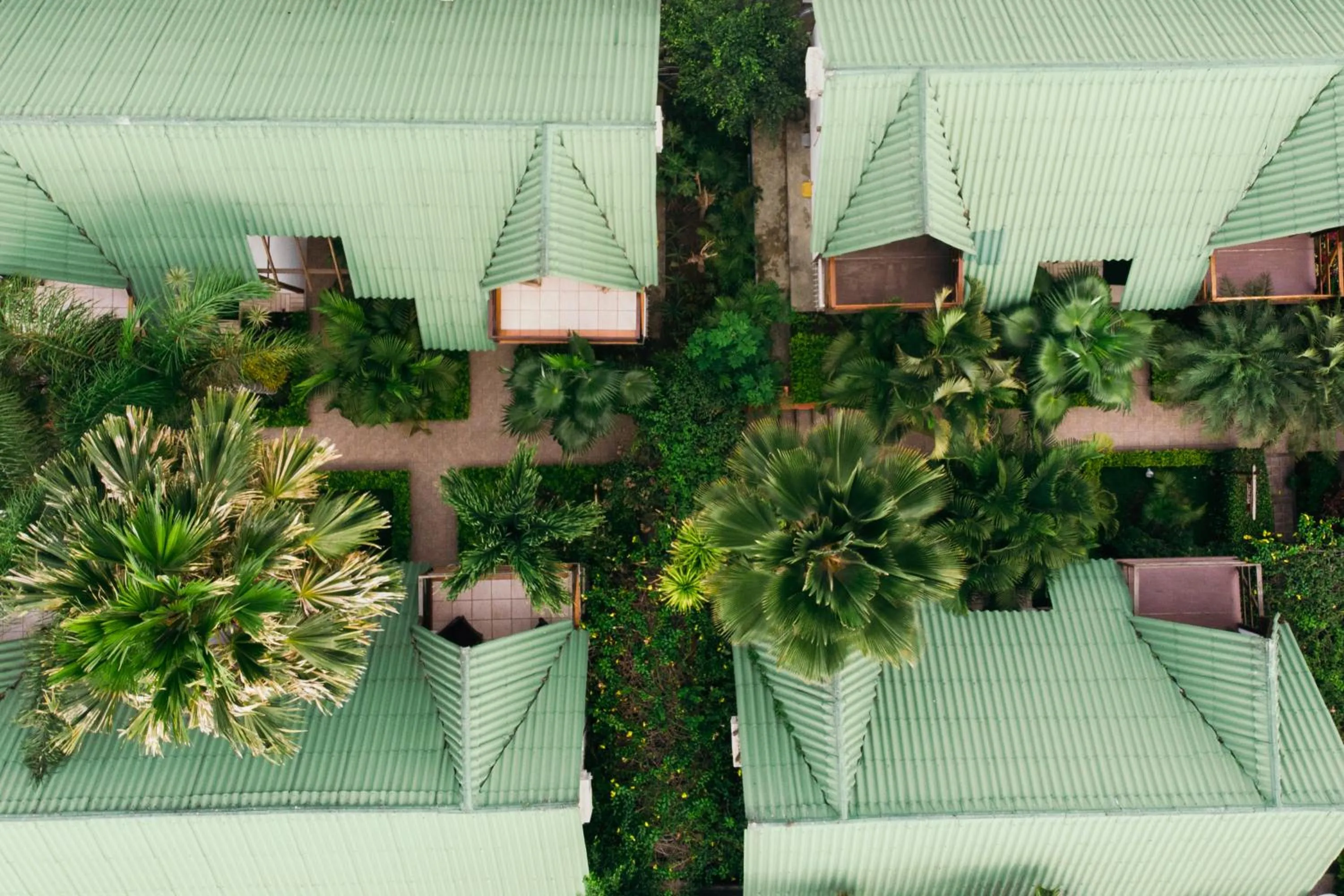 Garden view in Hotel Balandra