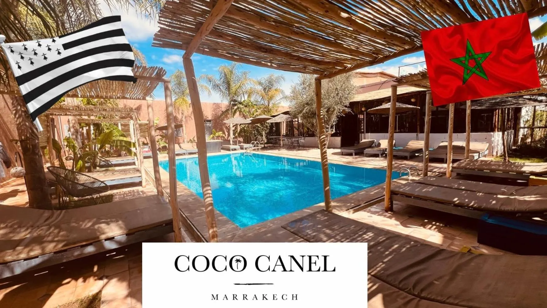 Swimming pool in Coco Canel Marrakech