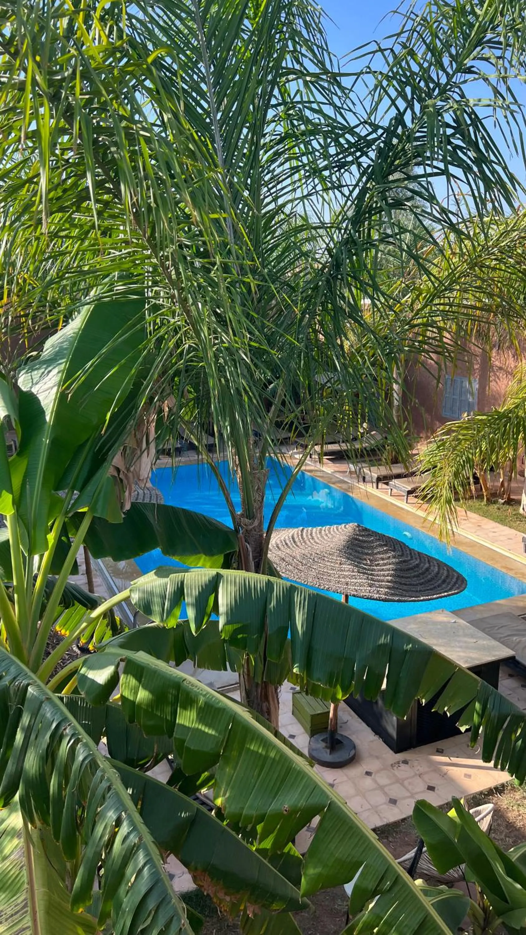 Pool view in Coco Canel Marrakech