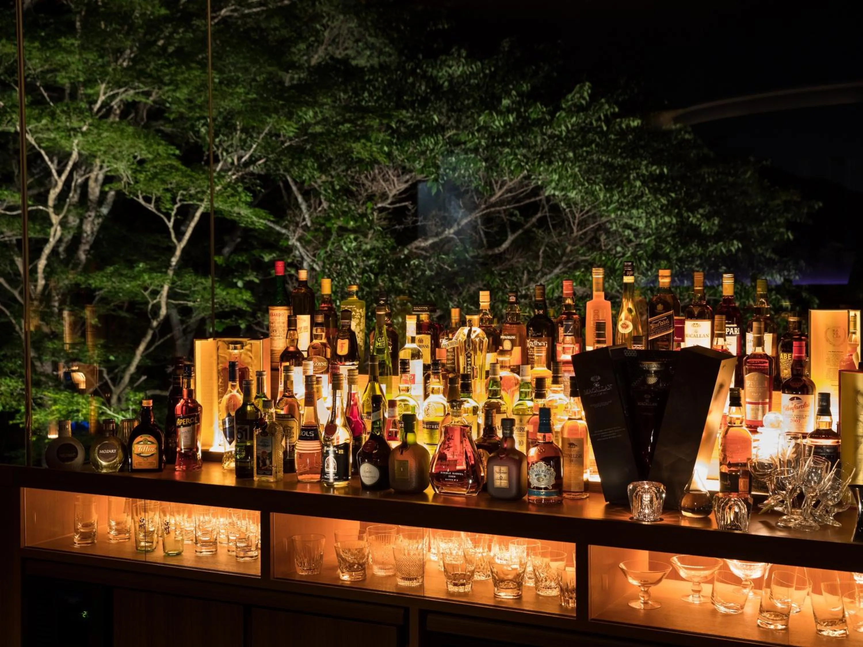 Alcoholic drinks in barhotel Hakone Kazan