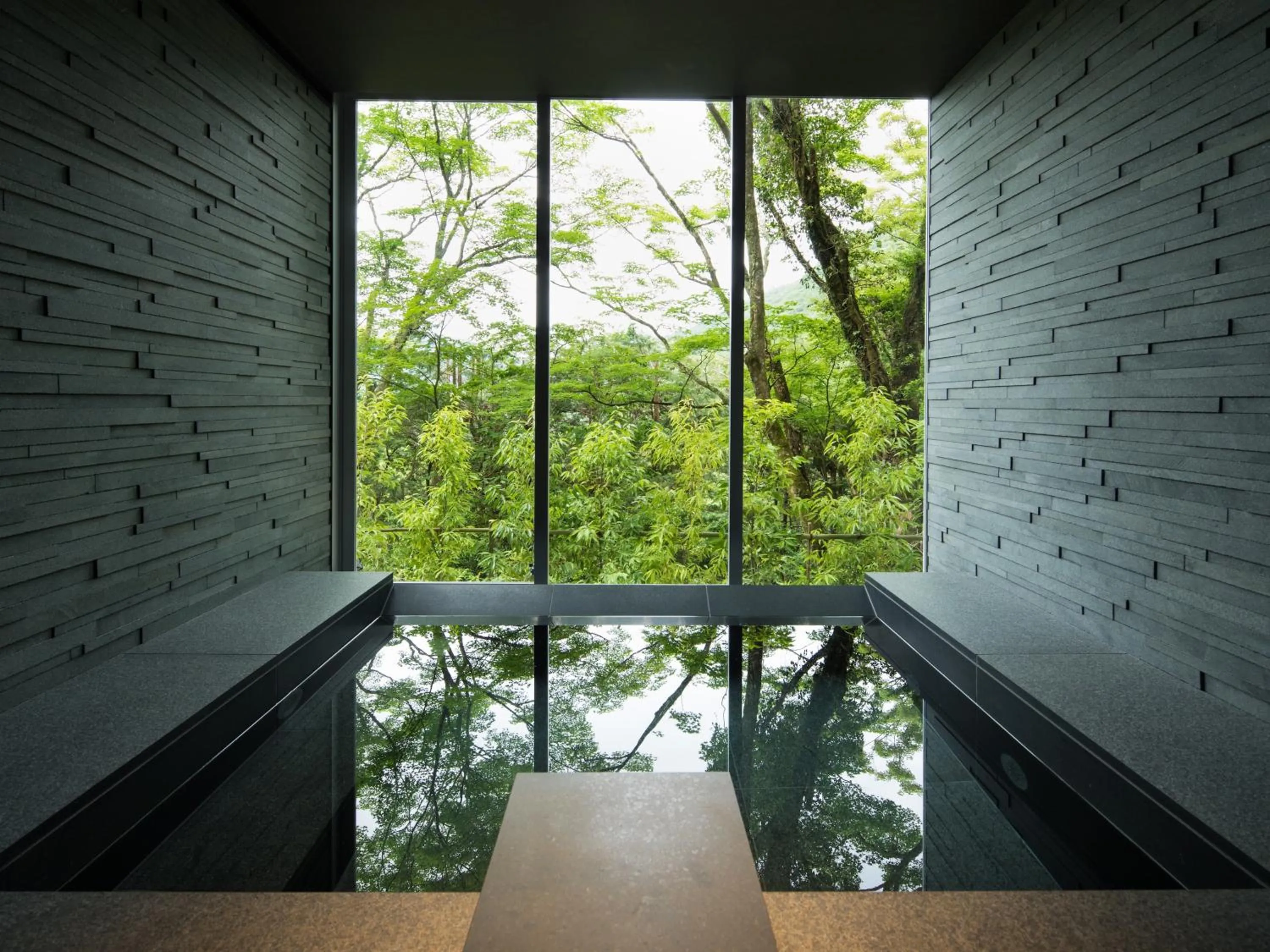 Spa and wellness centre/facilities in barhotel Hakone Kazan