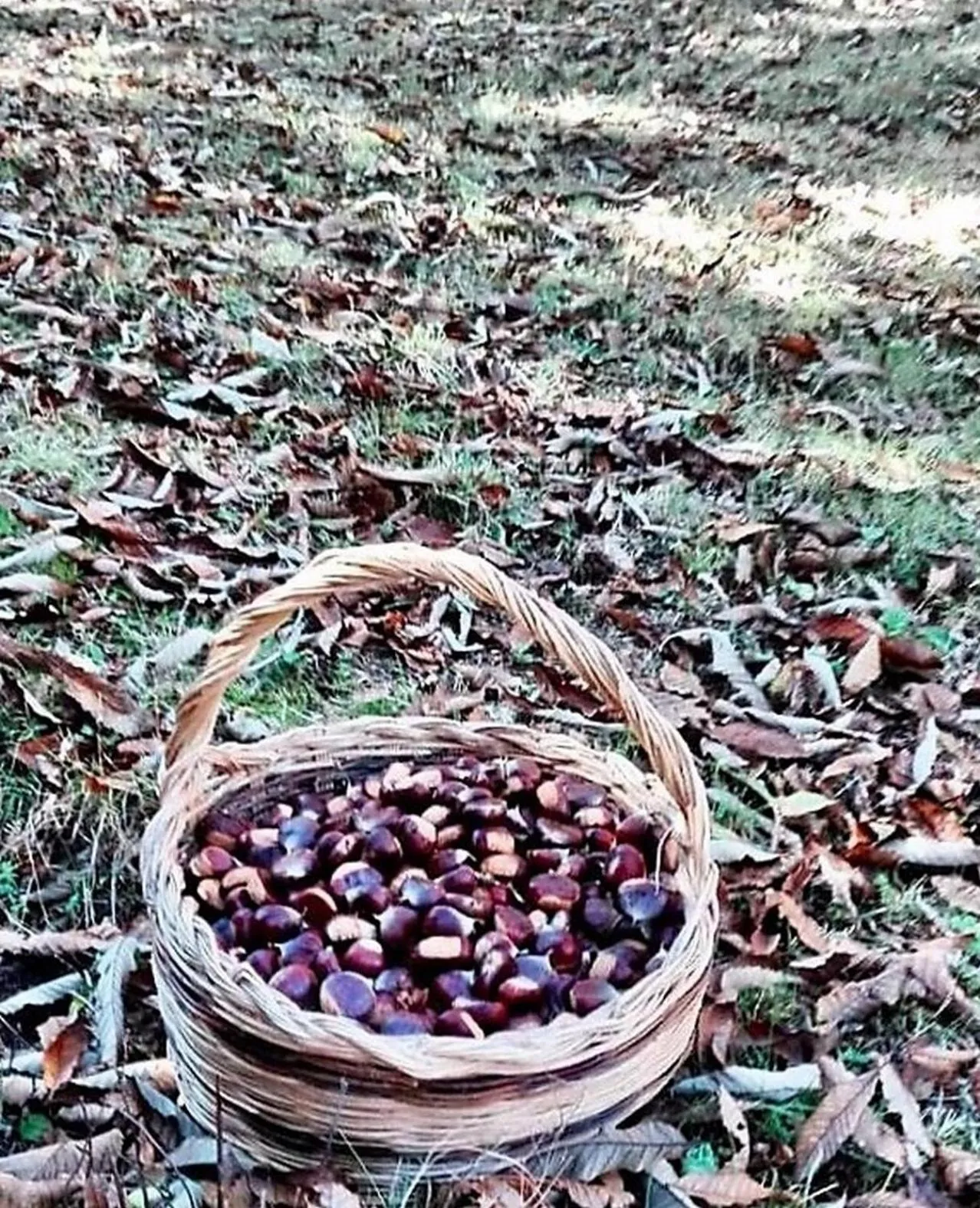 Hiking in B&B Leofreni Natura