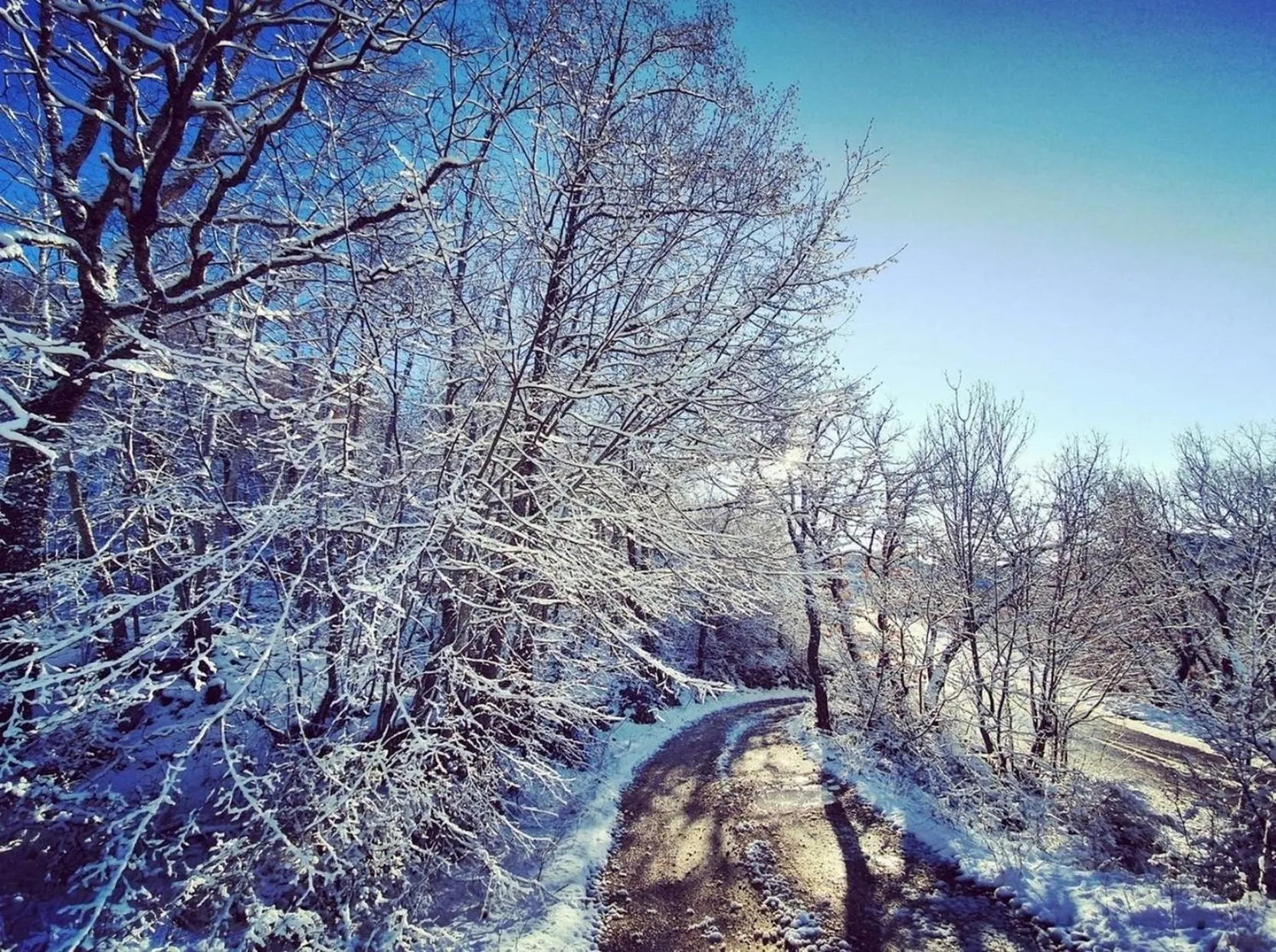 Natural landscape in B&B Leofreni Natura