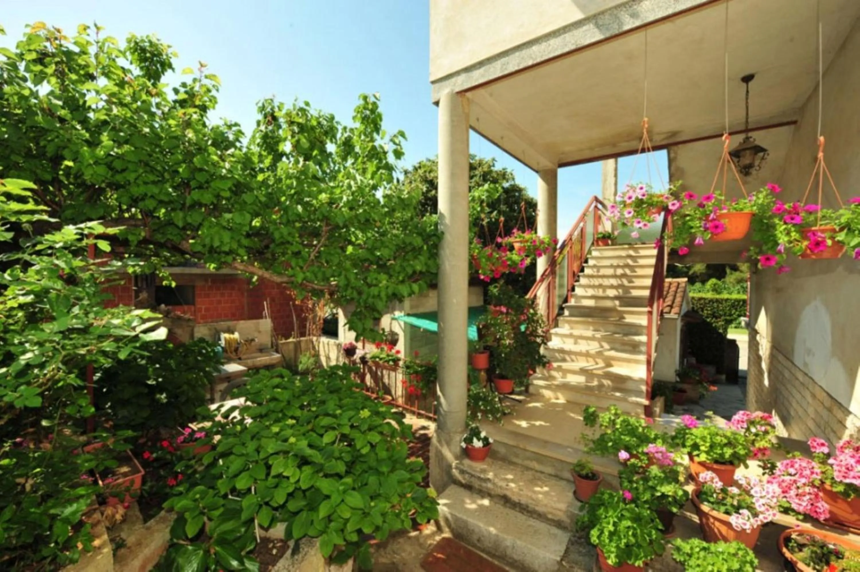 Garden in Apartment Patricia