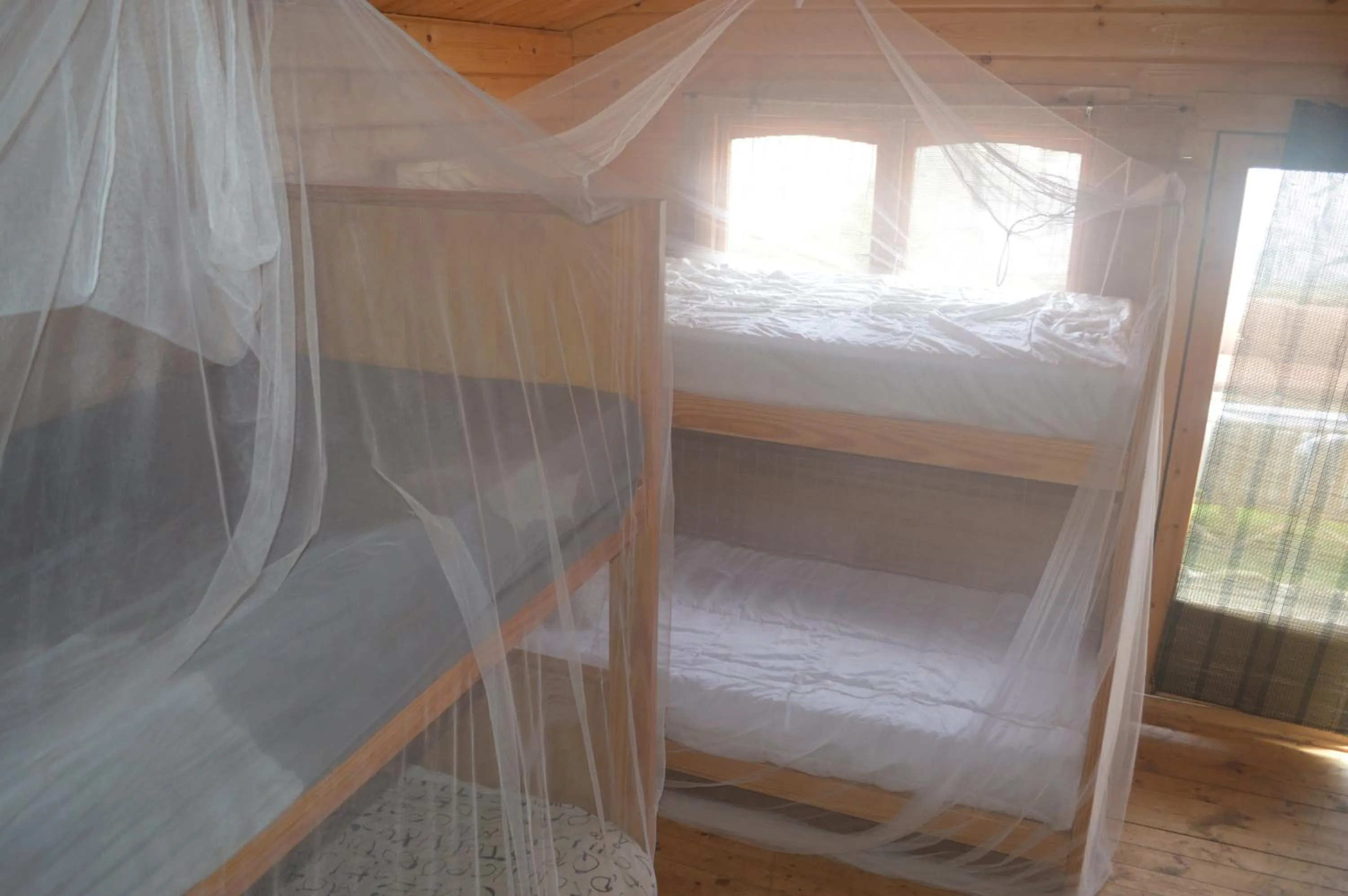 Bed in Coruña Backpackers Hostel