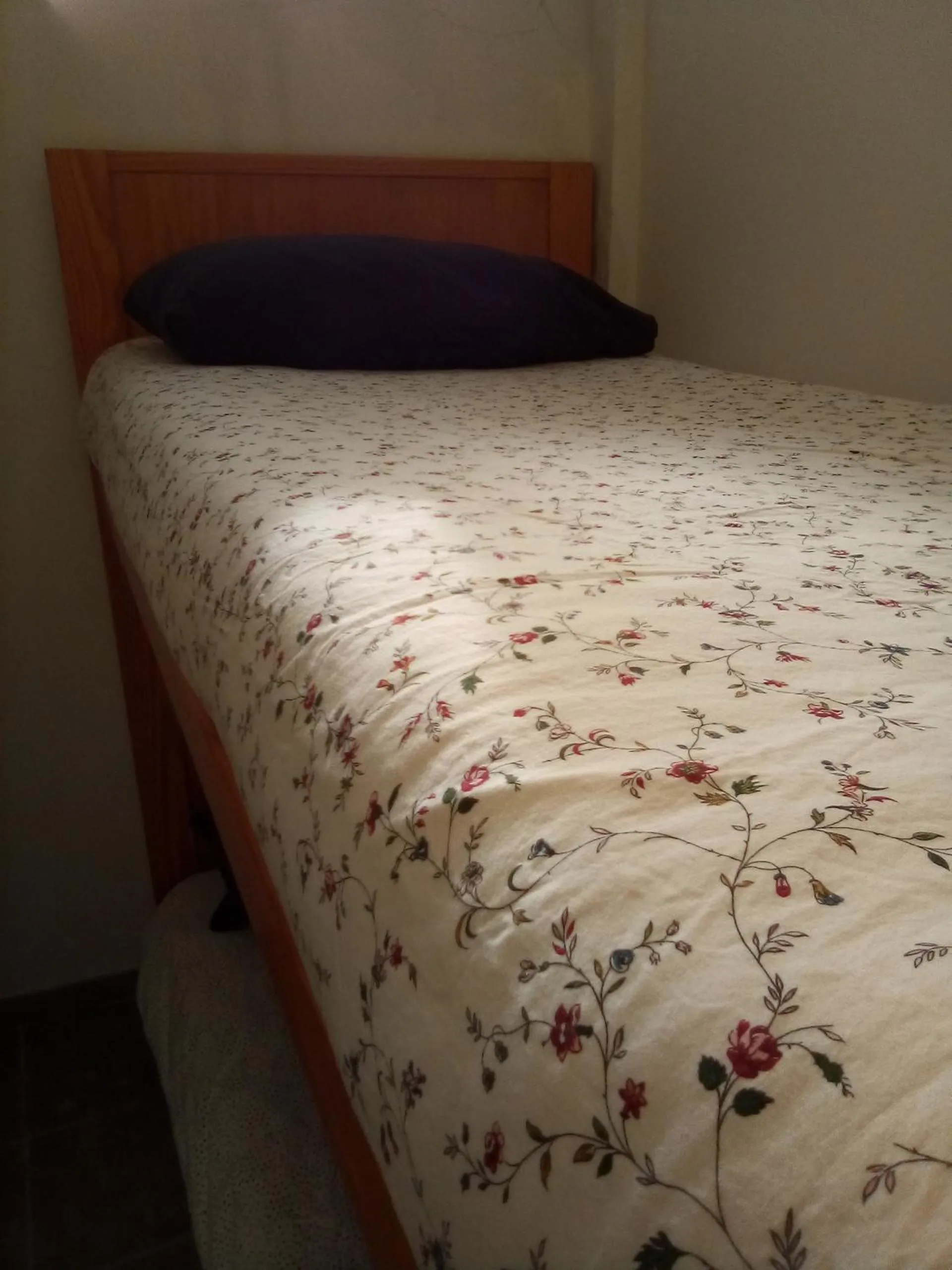 Bed in Coruña Backpackers Hostel