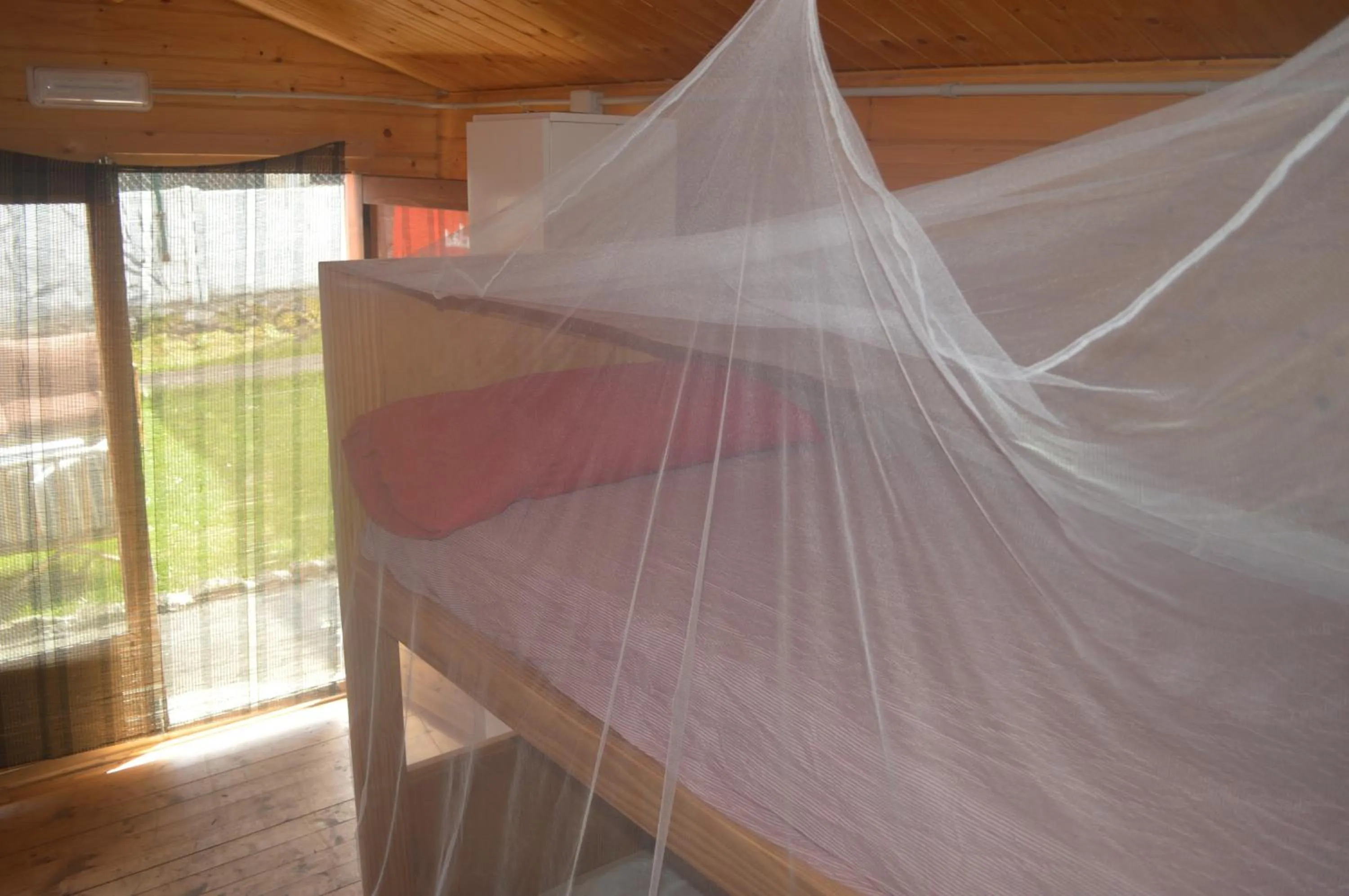 Bed in Coruña Backpackers Hostel