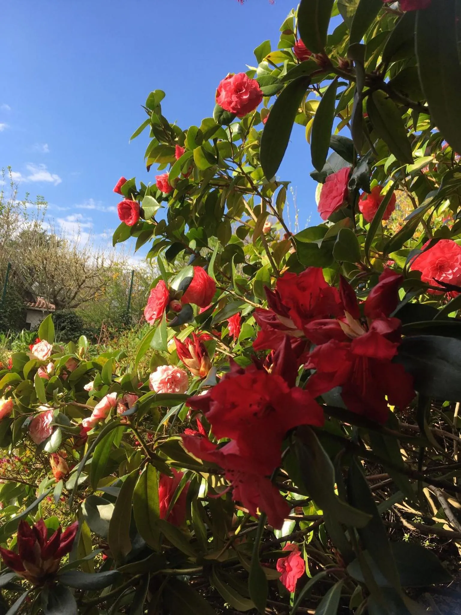 Garden in Le Relais des Malettes Chambres d'hôtes B&B