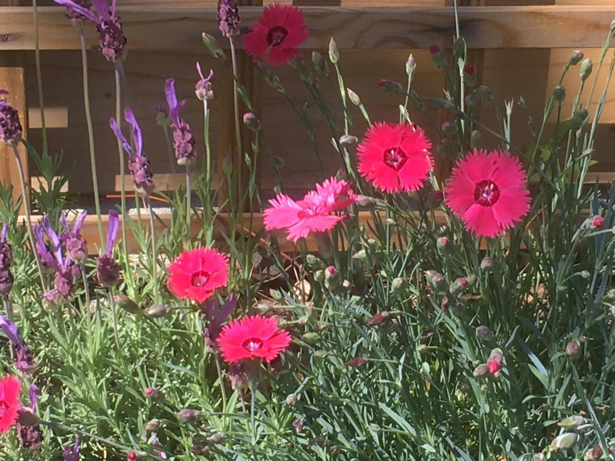 Garden in Le Relais des Malettes Chambres d'hôtes B&B