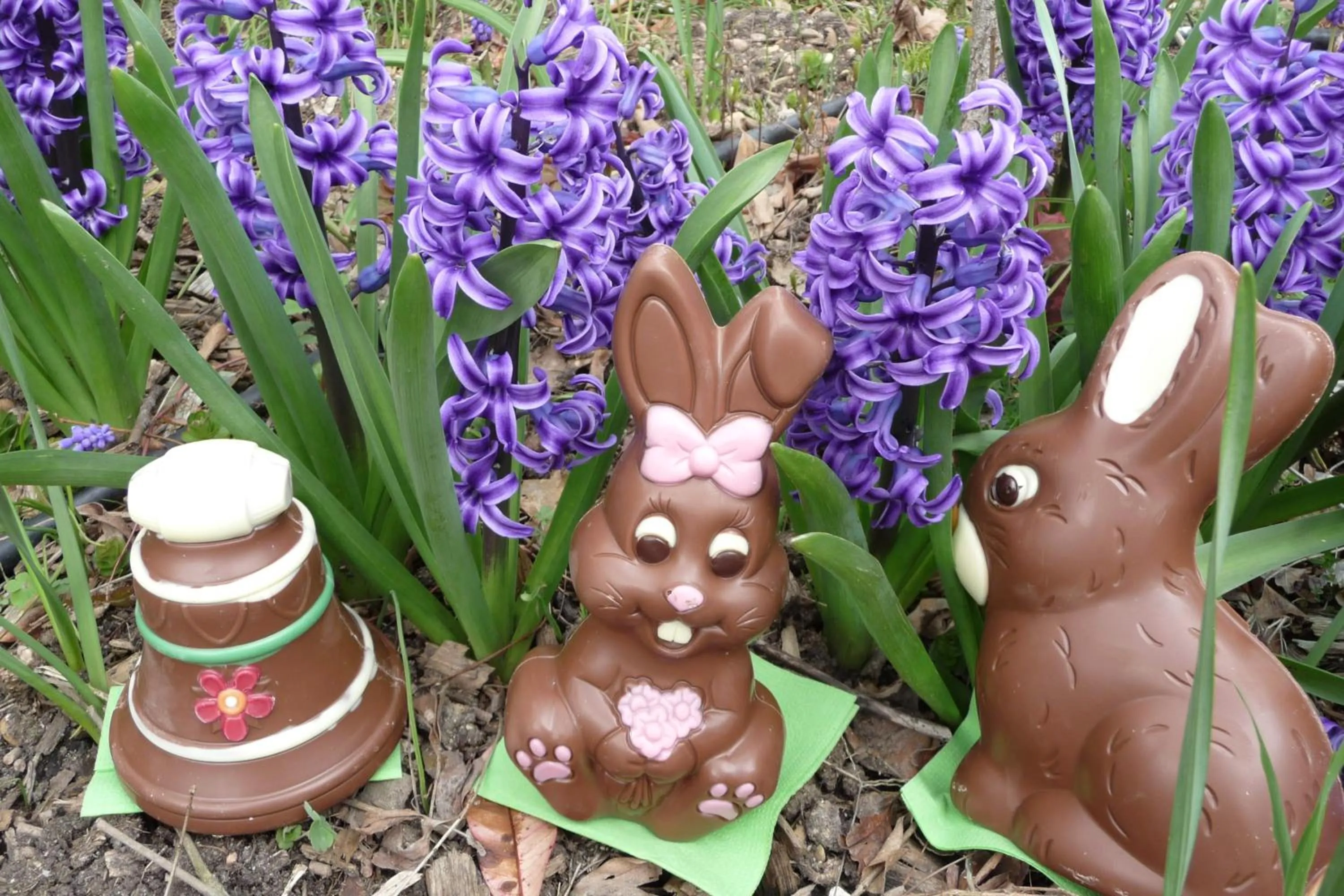 Food and drinks in Le Relais des Malettes Chambres d'hôtes B&B