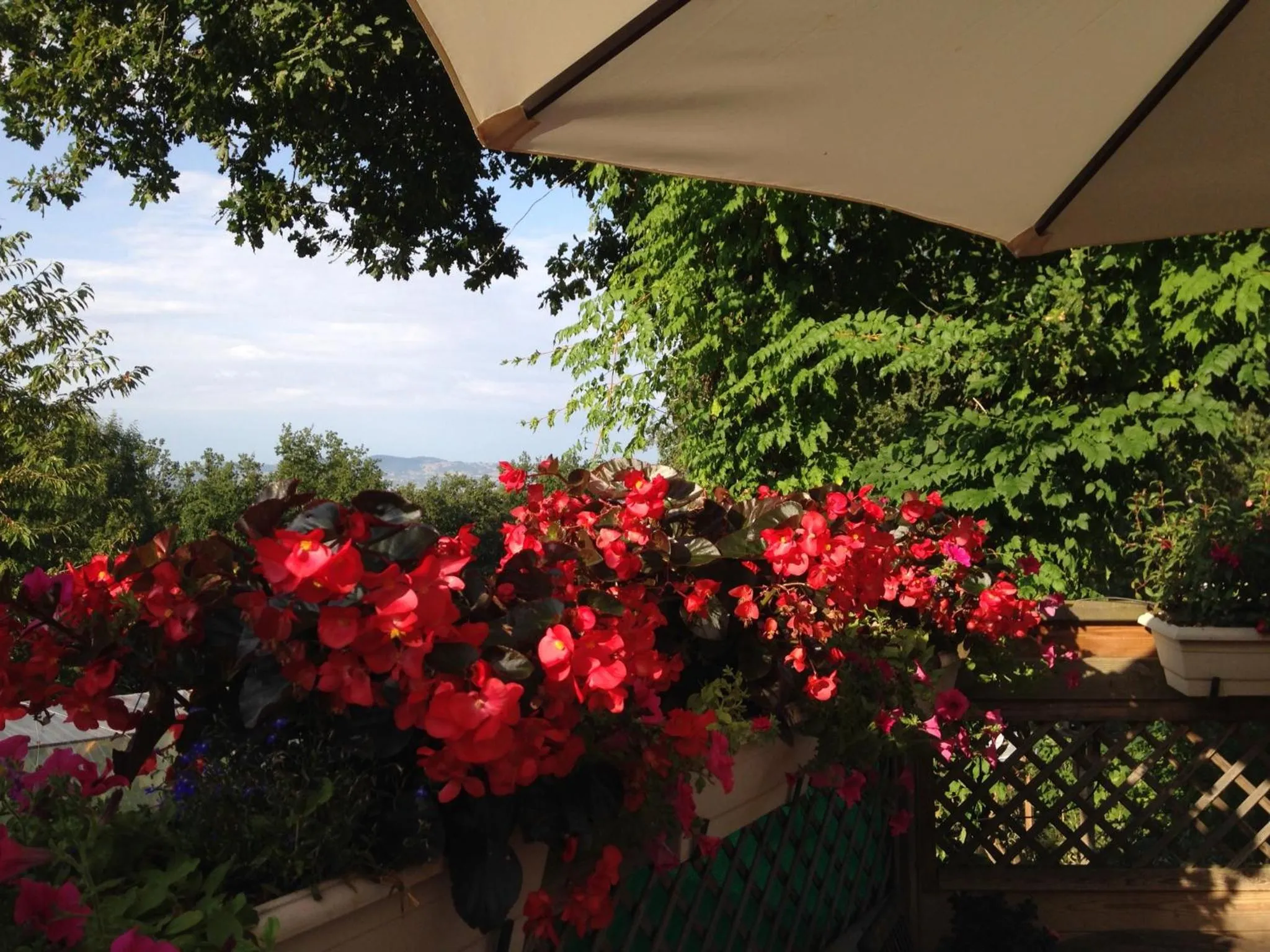 Garden in Le Relais des Malettes Chambres d'hôtes B&B