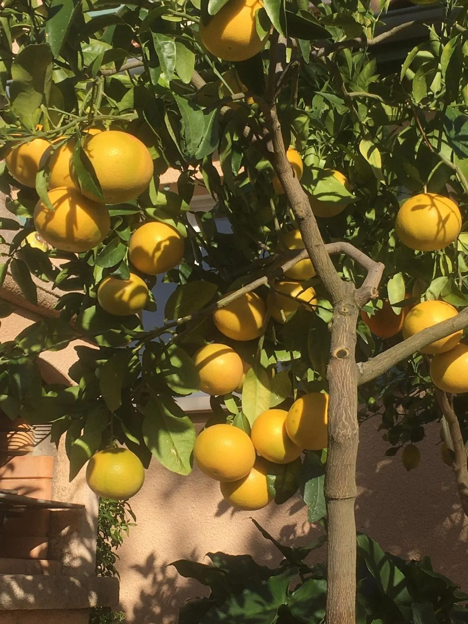 Garden view in Le Relais des Malettes Chambres d'hôtes B&B