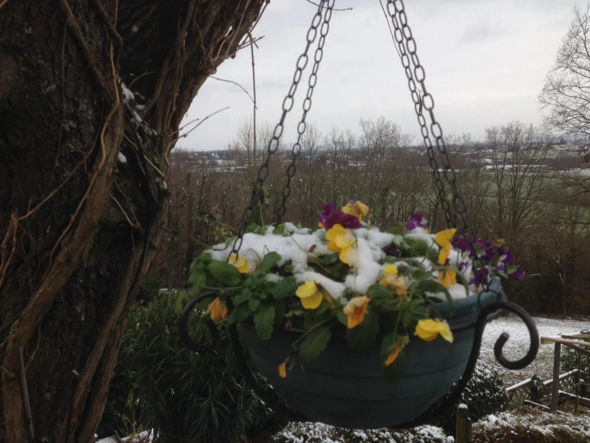 Garden view in Le Relais des Malettes Chambres d'hôtes B&B