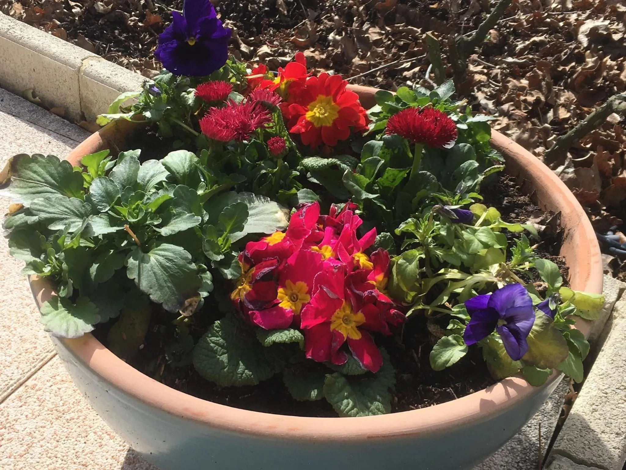 Garden in Le Relais des Malettes Chambres d'hôtes B&B