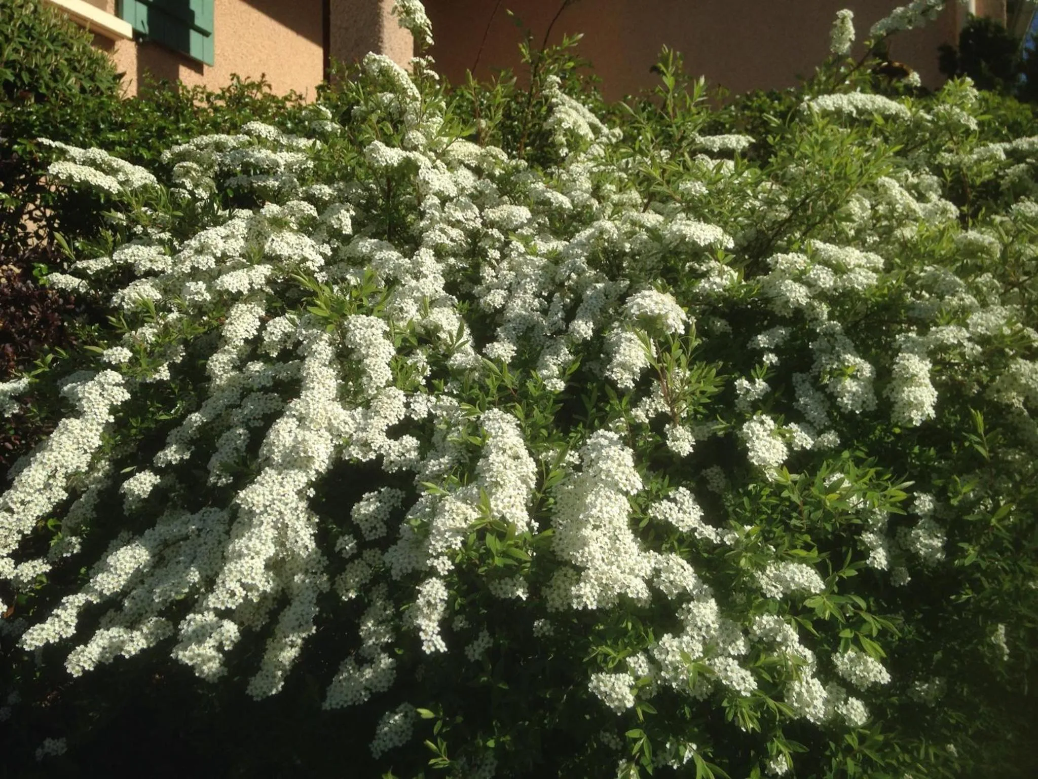 Garden in Le Relais des Malettes Chambres d'hôtes B&B