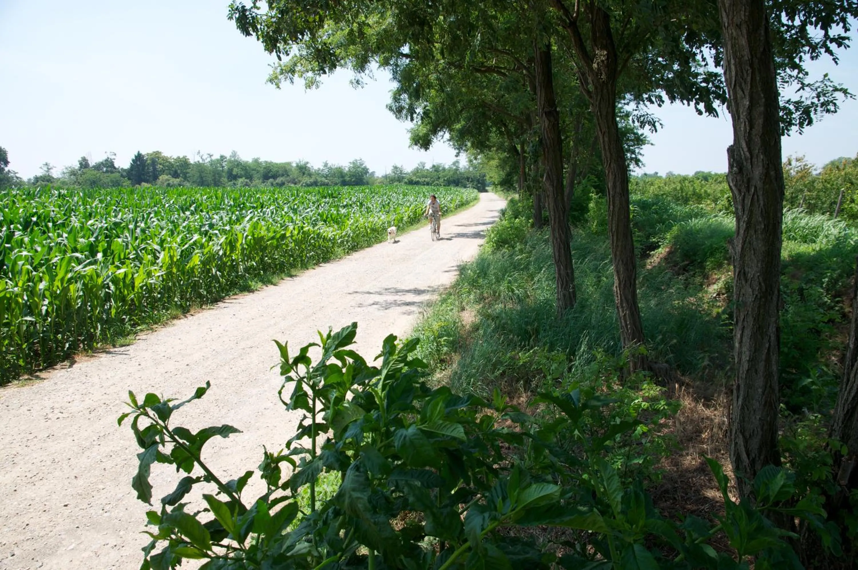 Street view in Cascina delle Mele